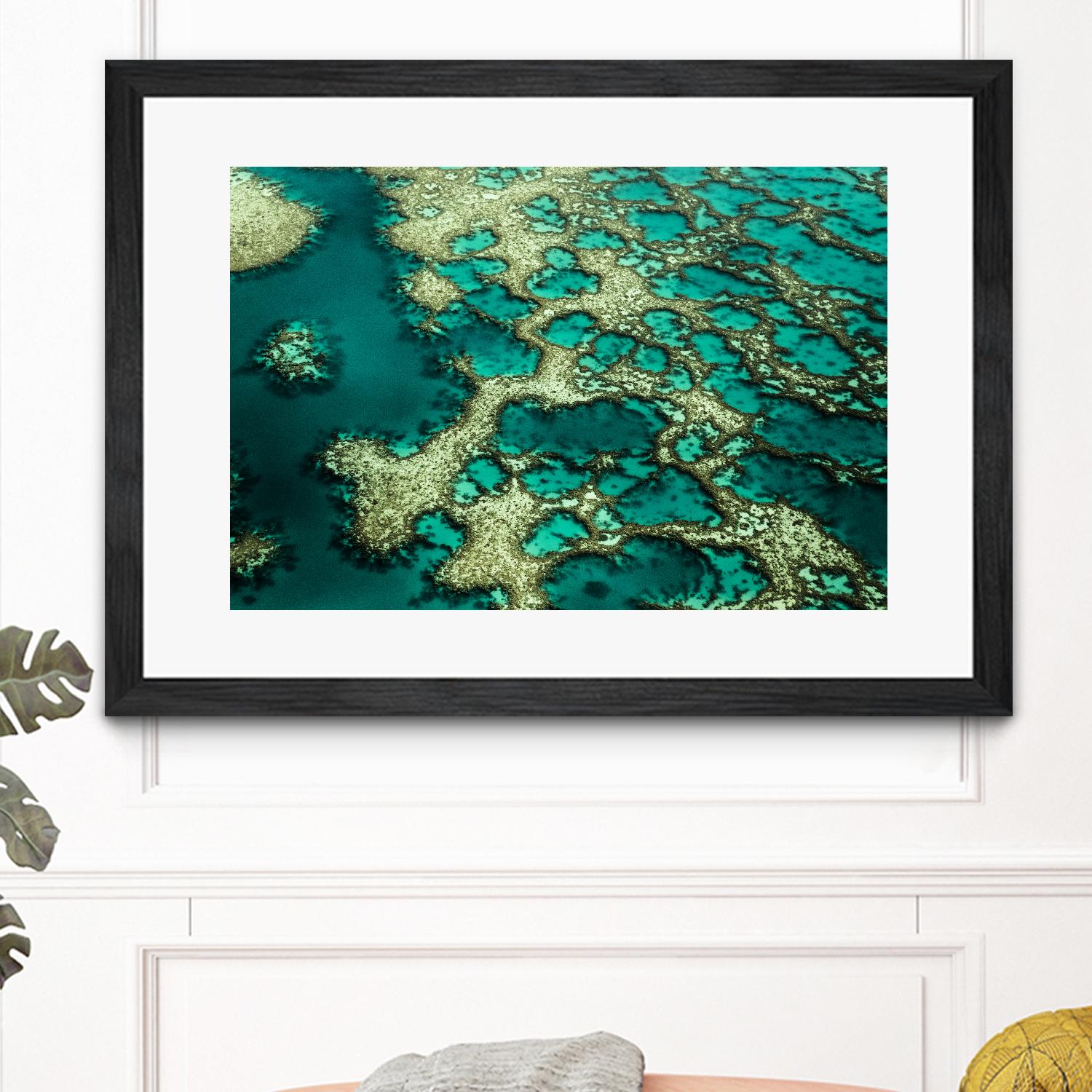 Wrobel - Gondwana by 1X on GIANT ART - green photo art