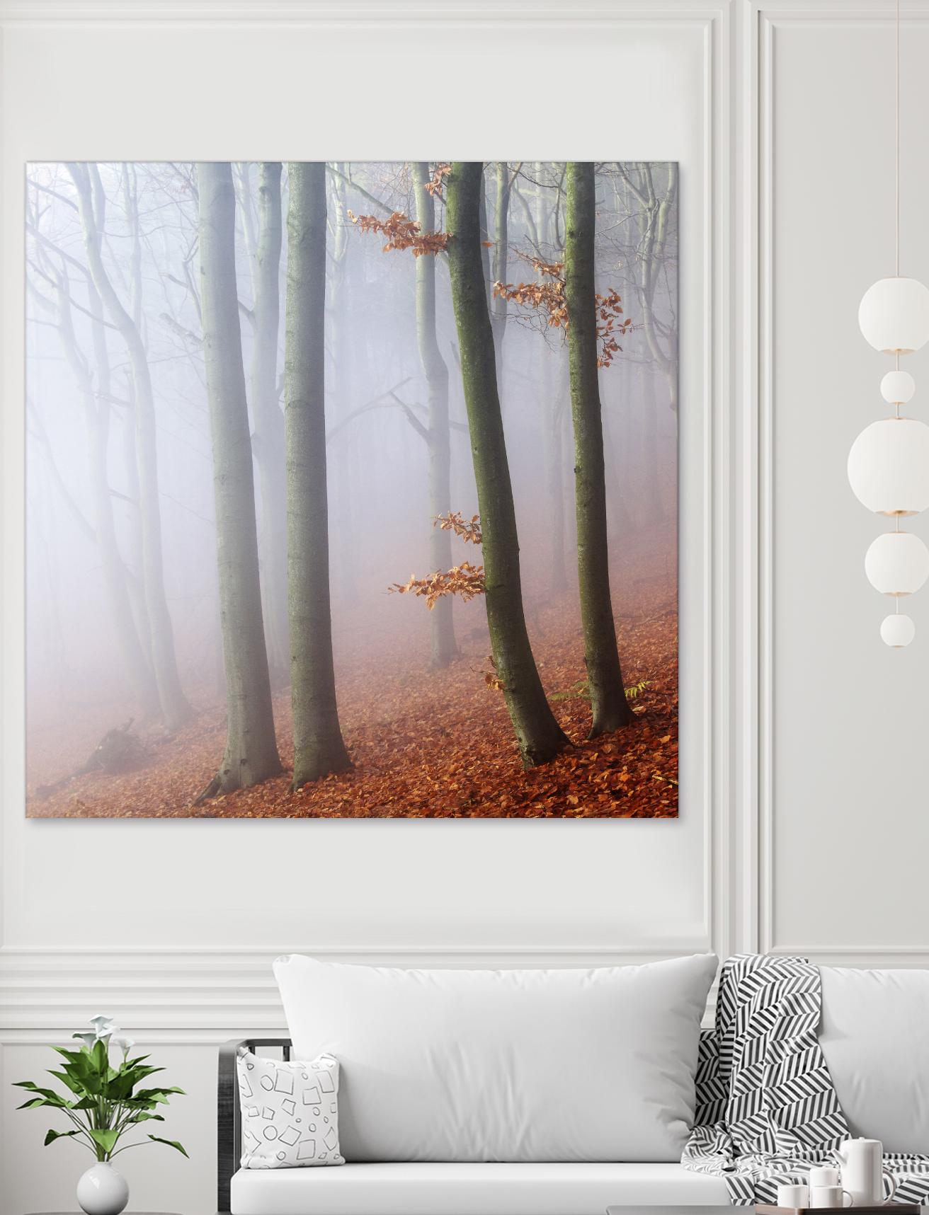 Fog by Popovsky 1X on GIANT ART - orange landscape