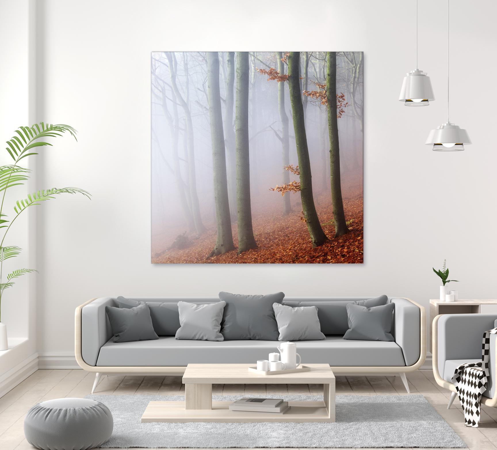 Fog by Popovsky 1X on GIANT ART - orange landscape