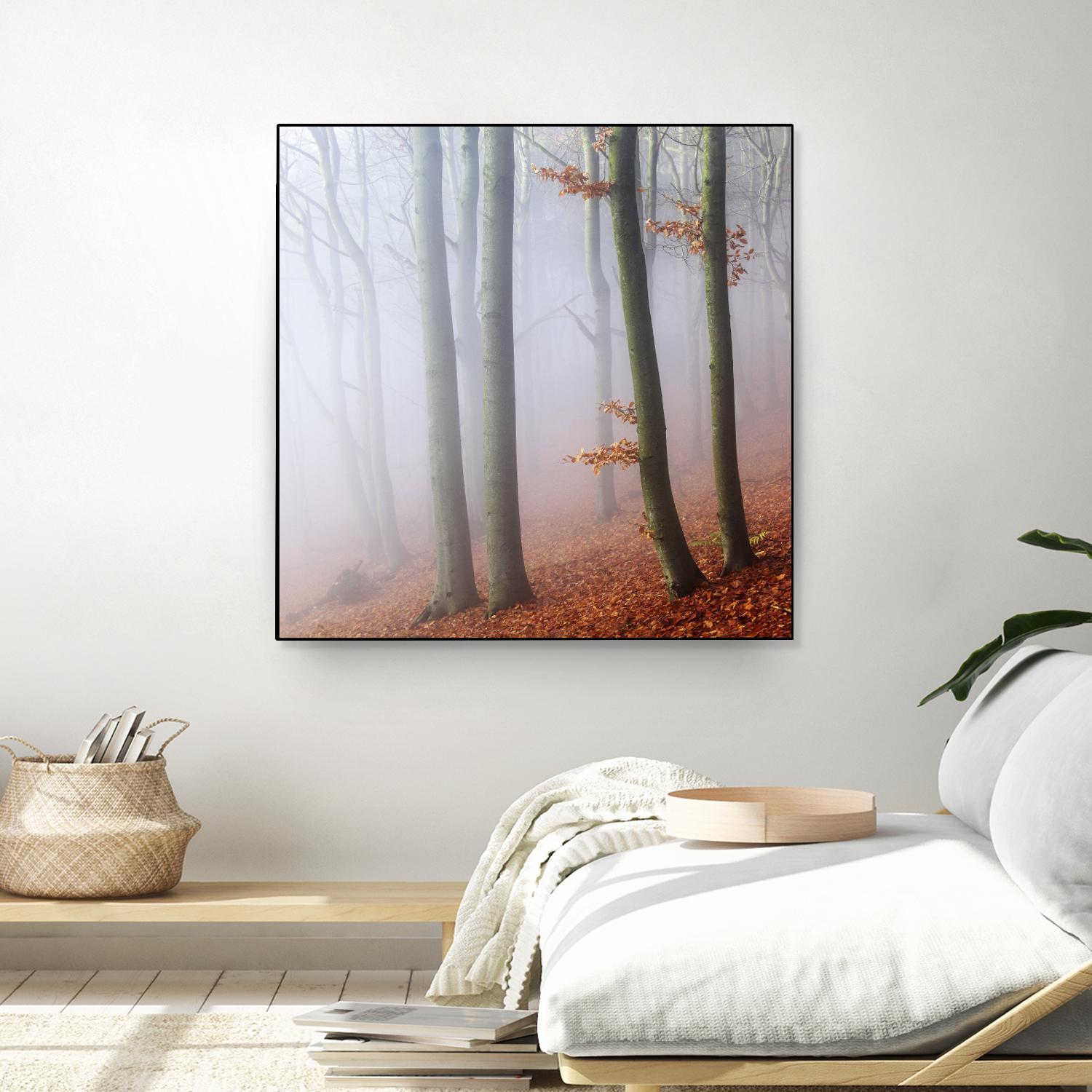 Fog by Popovsky 1X on GIANT ART - orange landscape