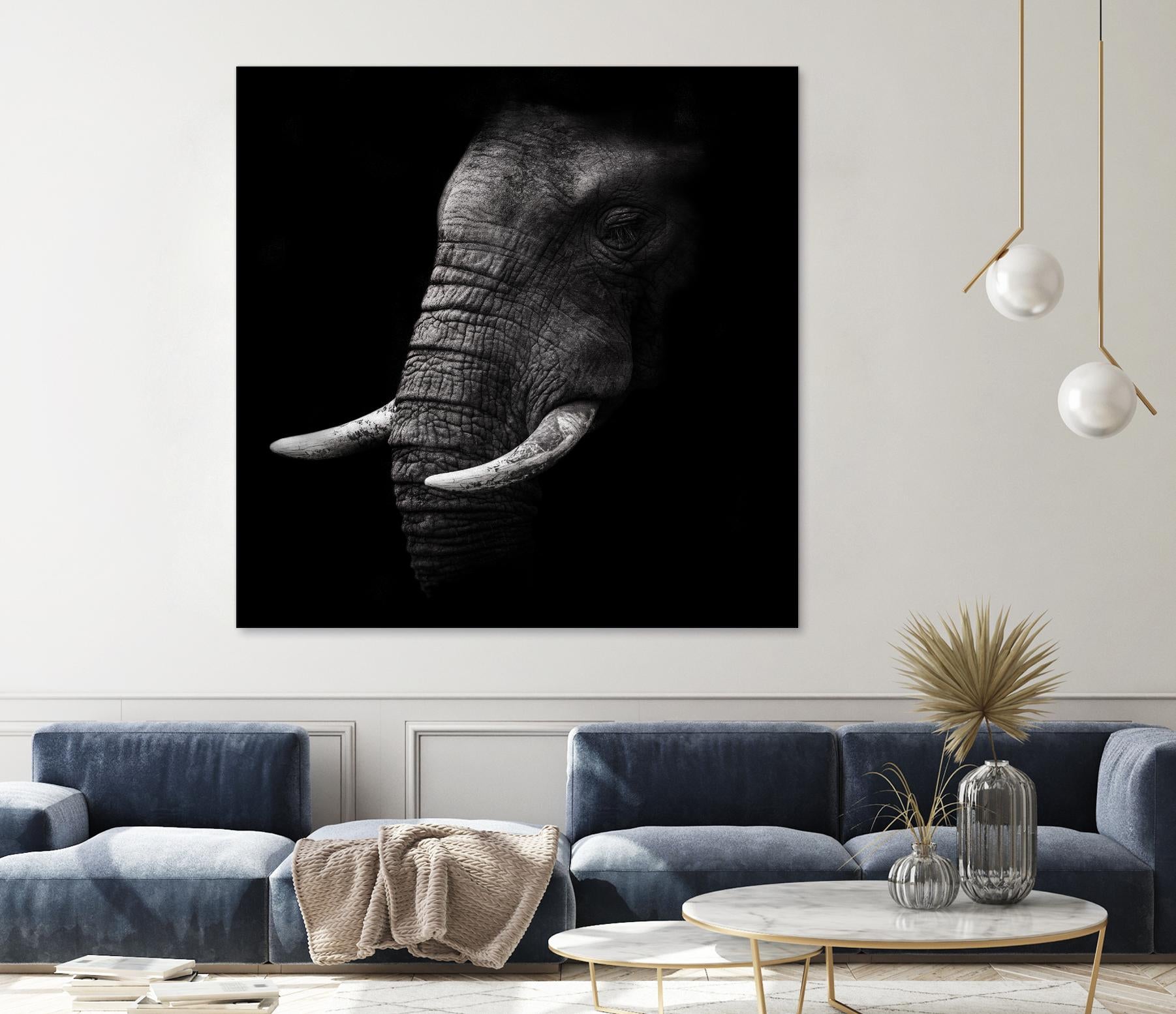 Portrait by WildPhotoArt on GIANT ART - white animal hear of elephant
