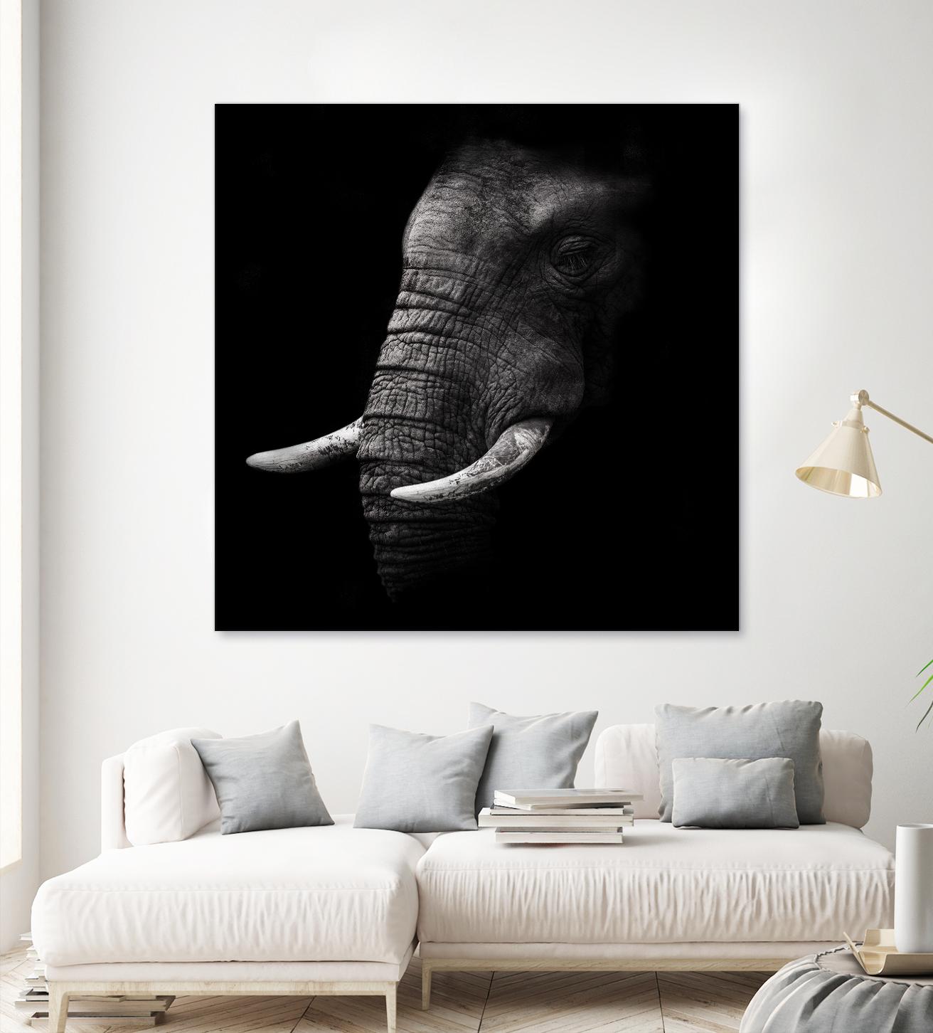Portrait by WildPhotoArt on GIANT ART - white animal hear of elephant