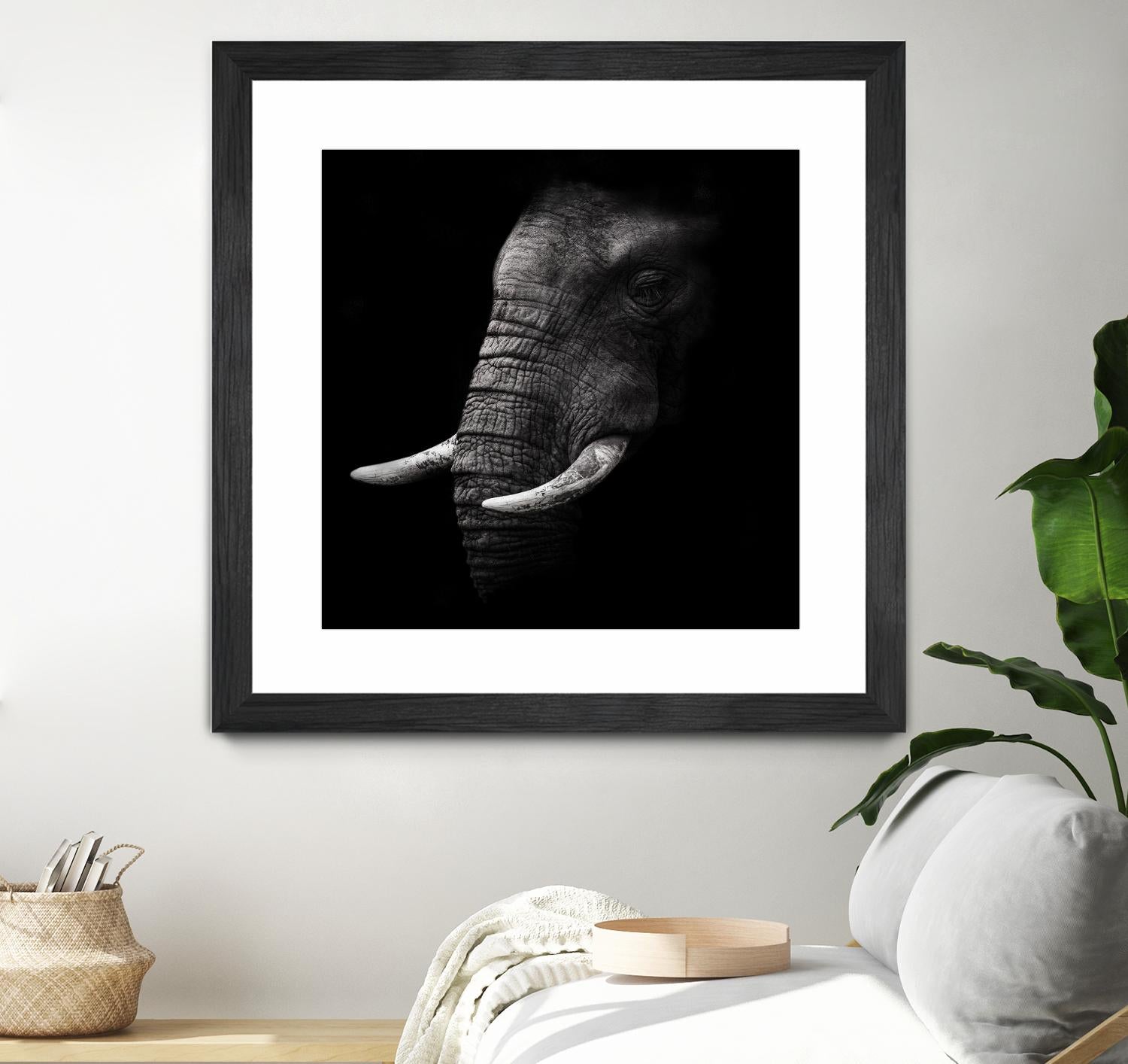 Portrait by WildPhotoArt on GIANT ART - white animal hear of elephant