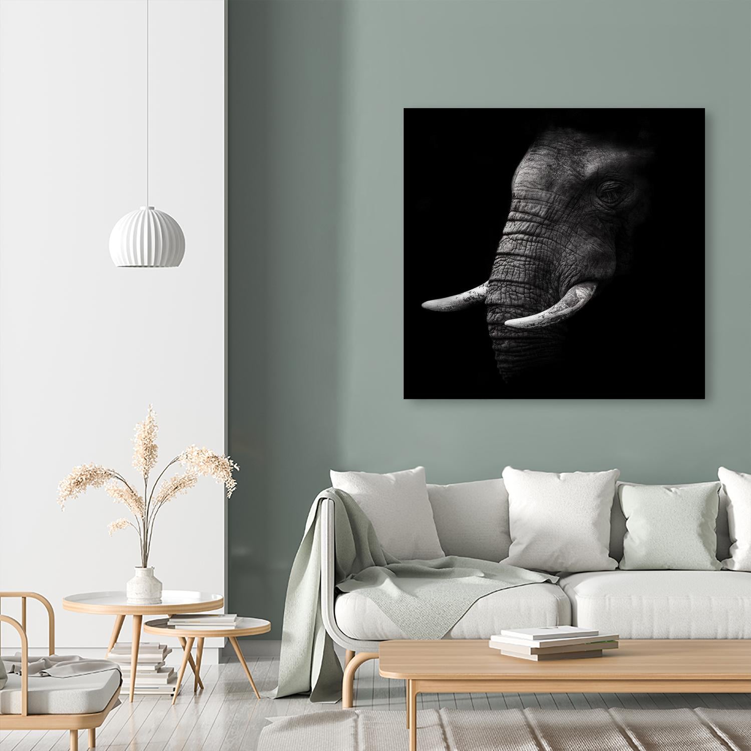 Portrait by WildPhotoArt on GIANT ART - white animal hear of elephant