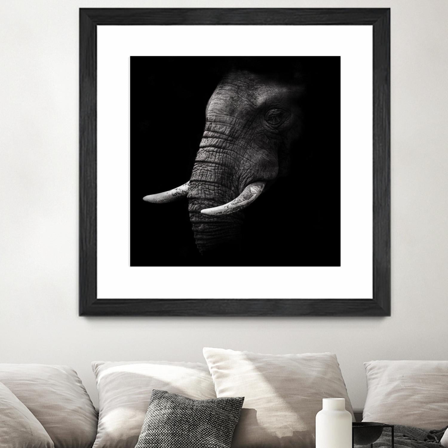 Portrait by WildPhotoArt on GIANT ART - white animal hear of elephant