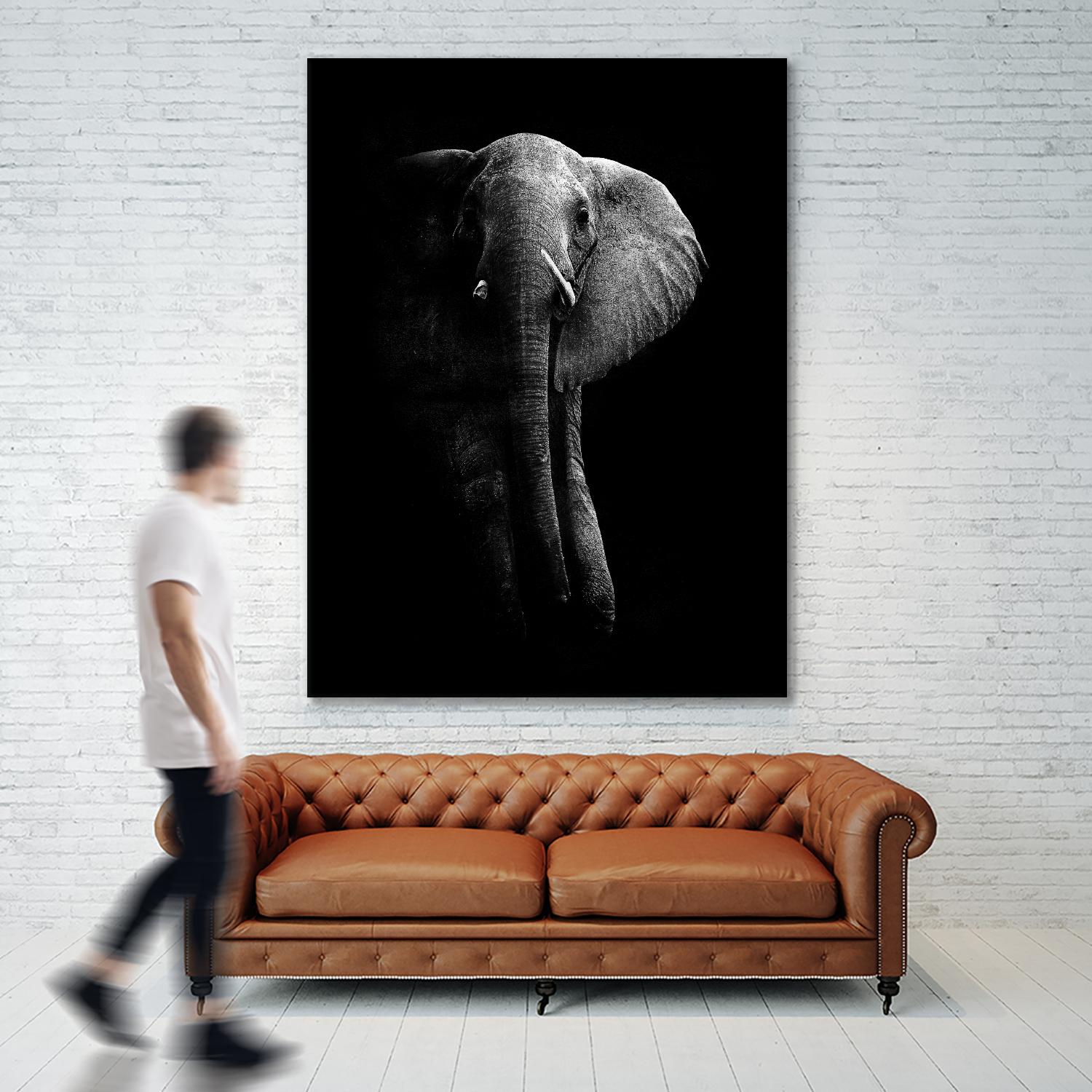 Elephant! by WildPhotoArt on GIANT ART - white black&white nature