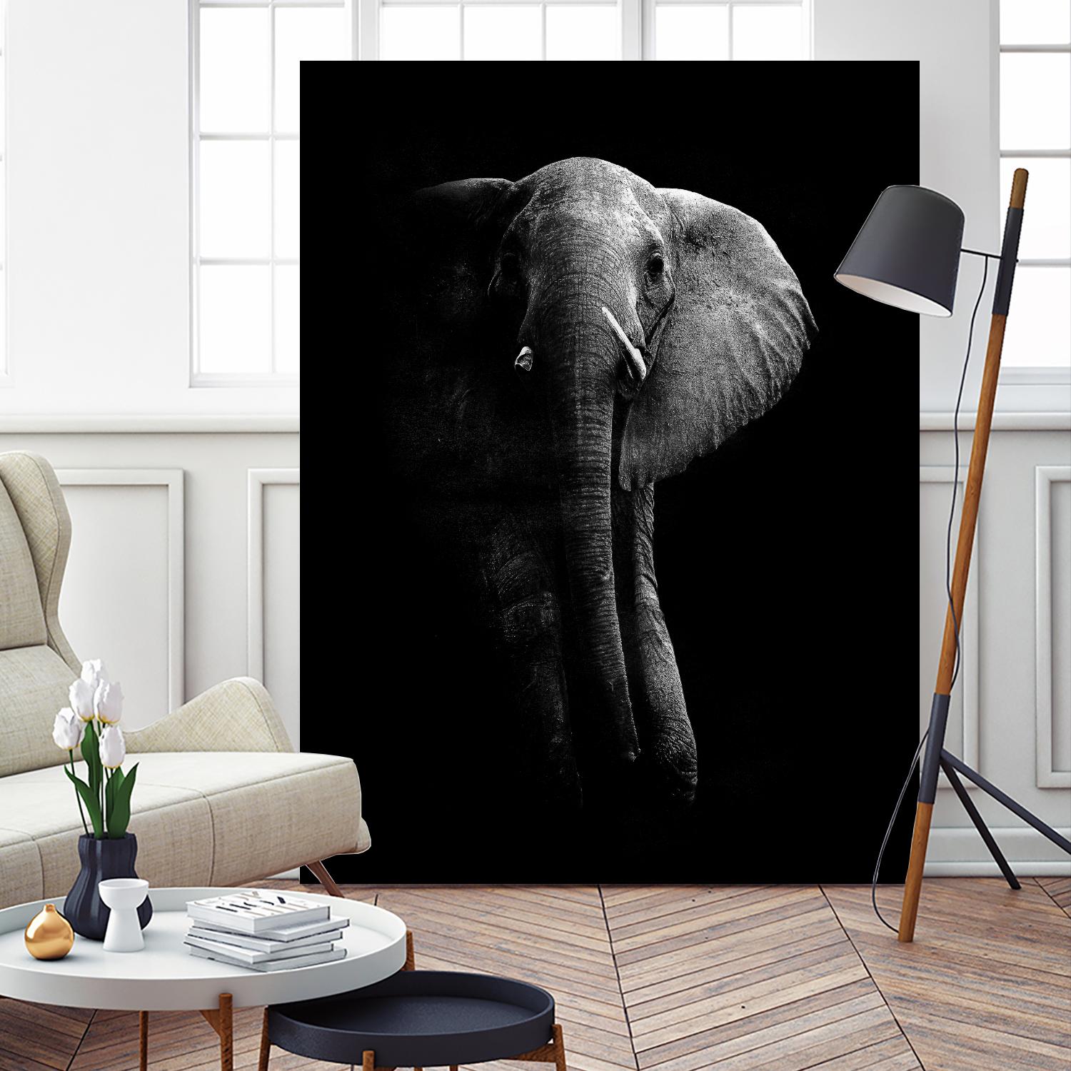 Elephant! by WildPhotoArt on GIANT ART - white black&white nature
