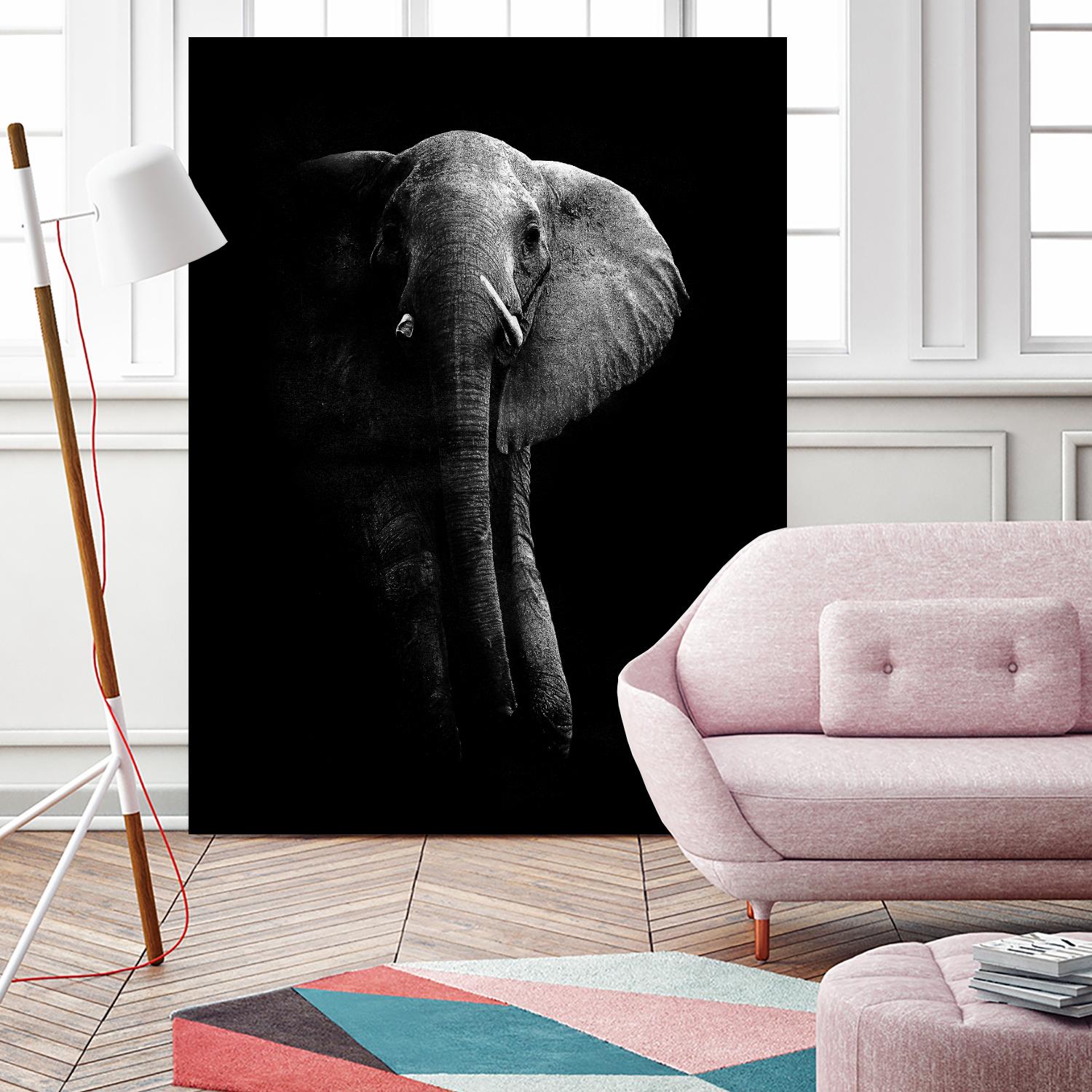 Elephant! by WildPhotoArt on GIANT ART - white black&white nature