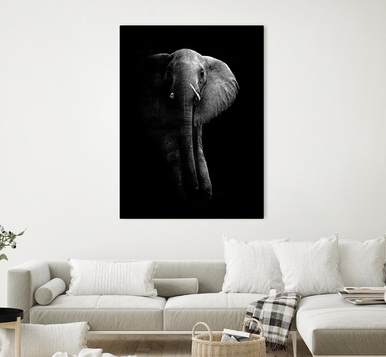 Elephant! by WildPhotoArt on GIANT ART - white black&white nature