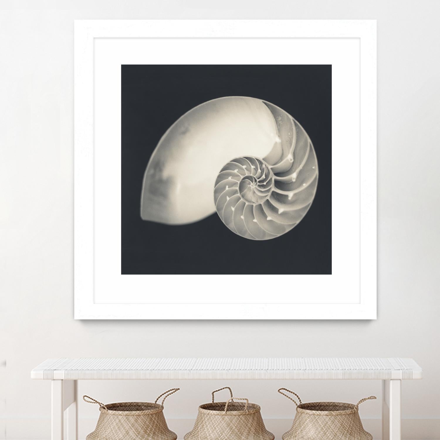 Shell I by YK Studio on GIANT ART - beige nautical