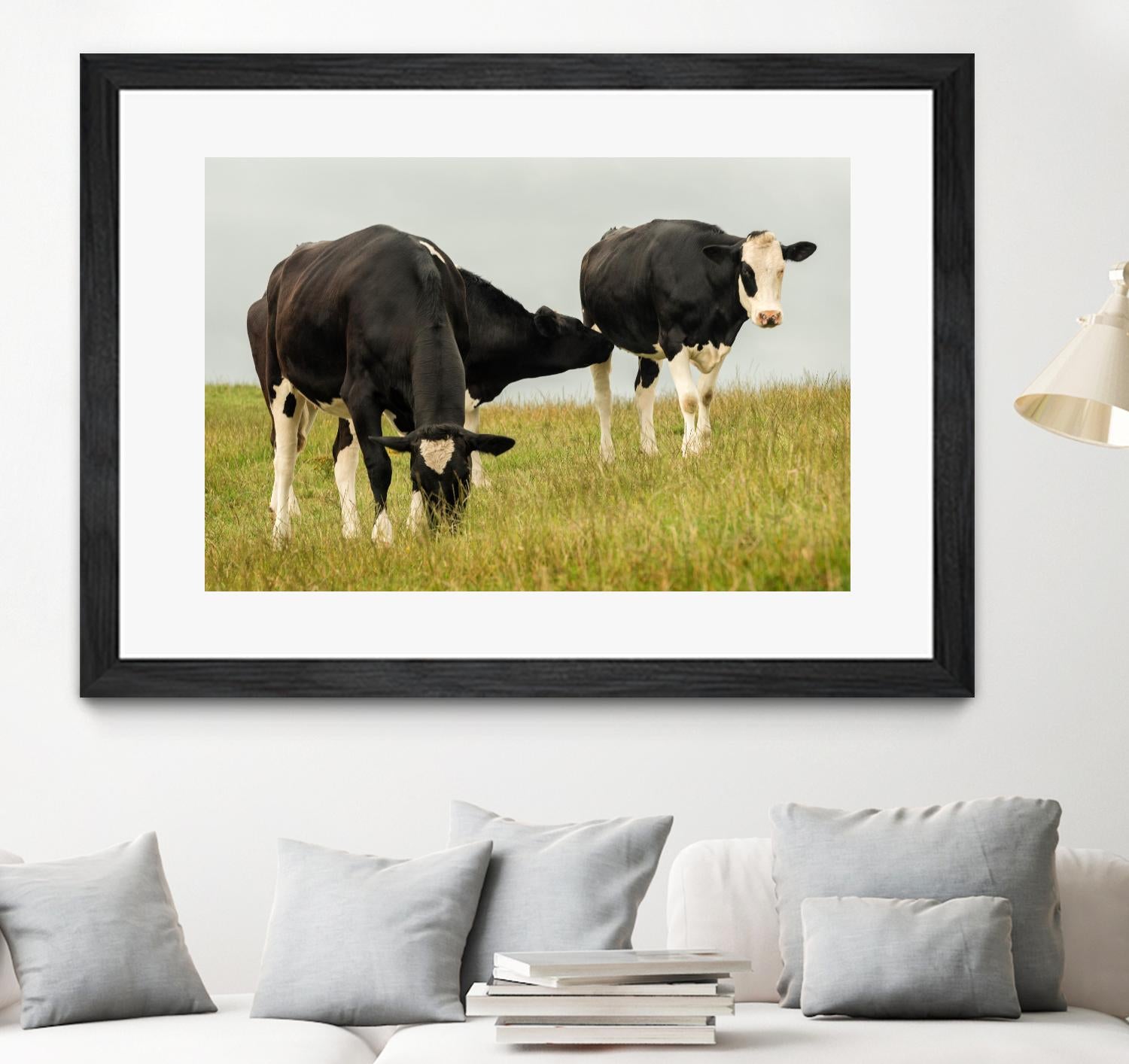 Country Cows by Andy Amos on GIANT ART - farm photography