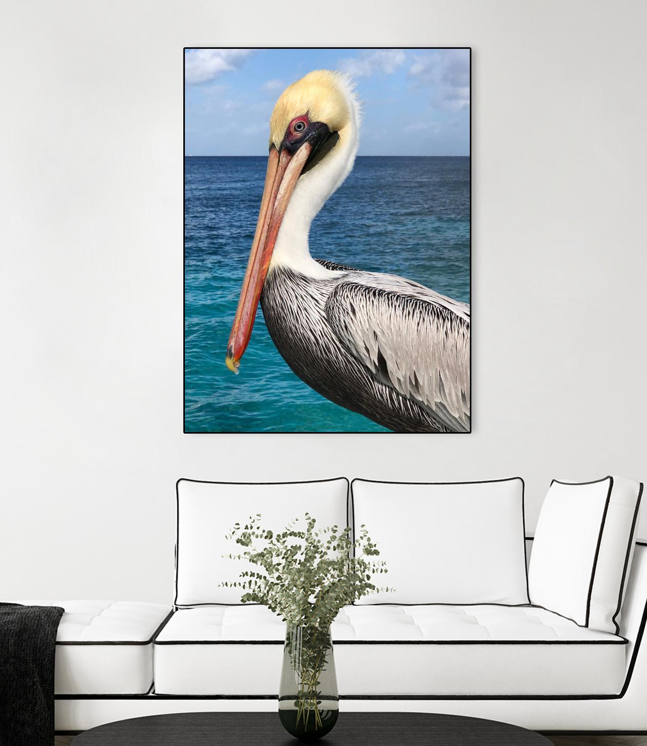 Pelican by Julie DeRice on GIANT ART - coastal photography