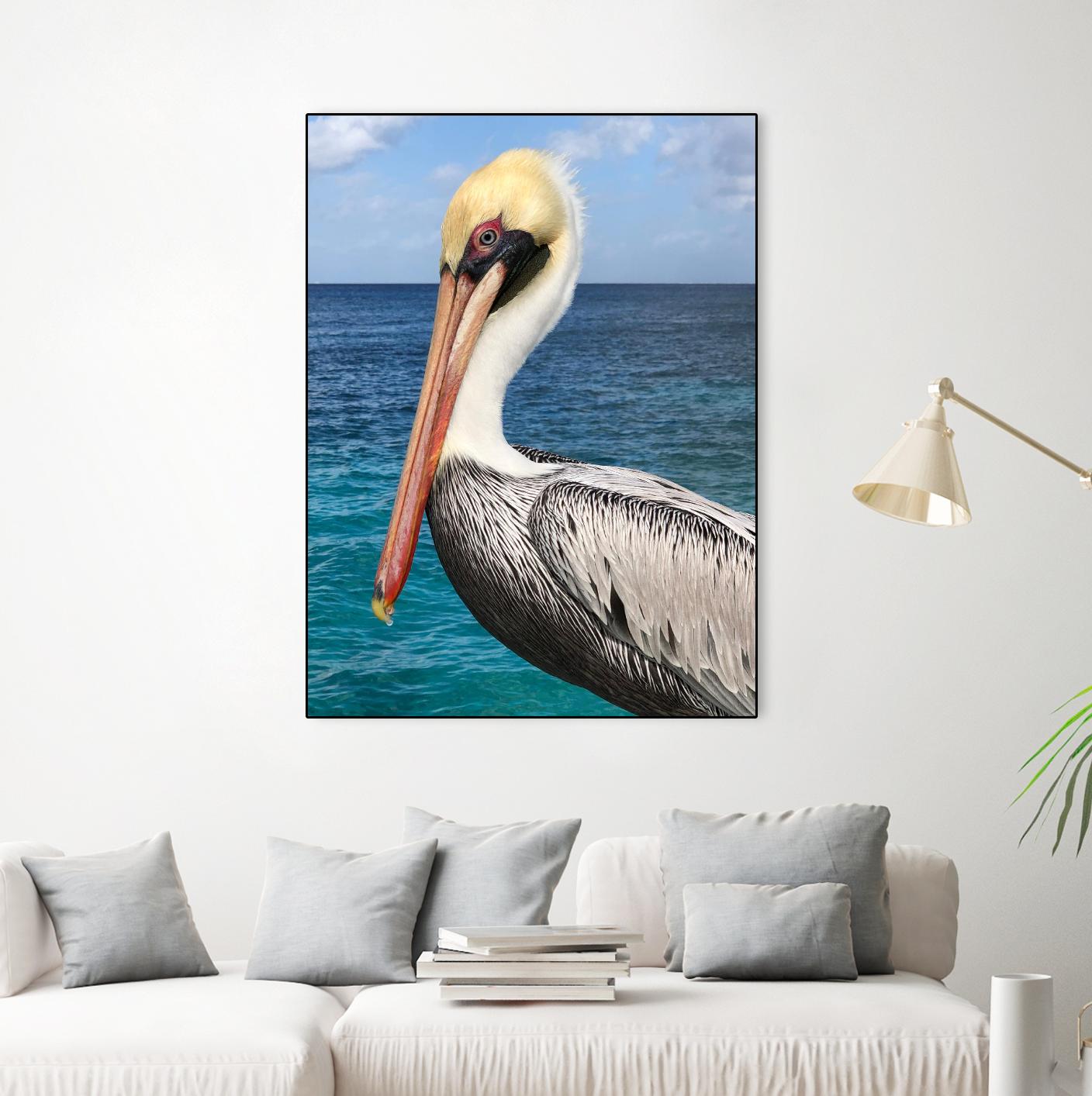 Pelican by Julie DeRice on GIANT ART - coastal photography