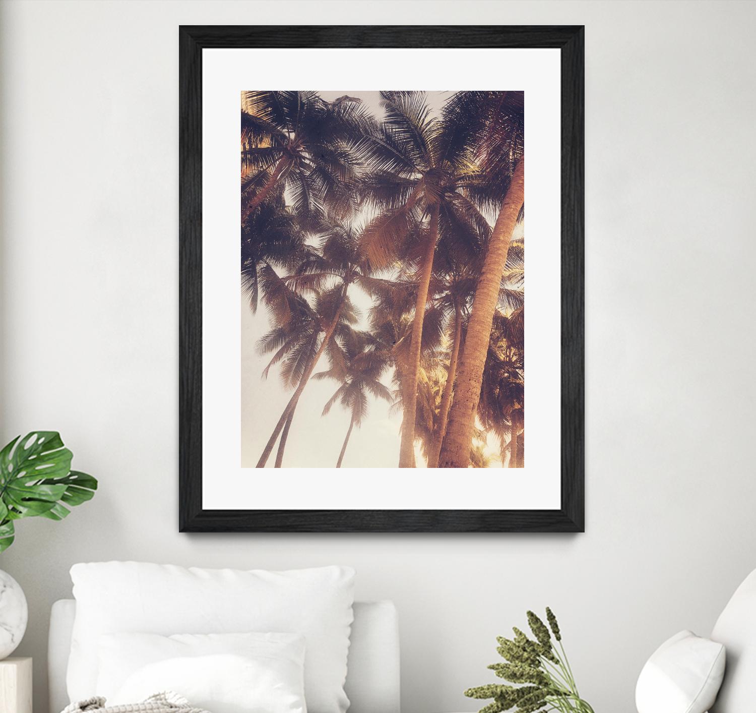 Vintage Palms by Acosta on GIANT ART - photography coastal