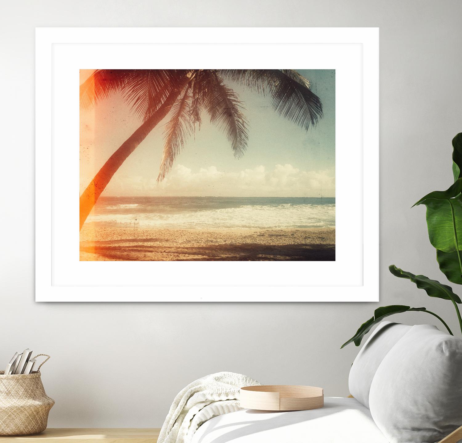 Single Palm by Acosta on GIANT ART - multi photography