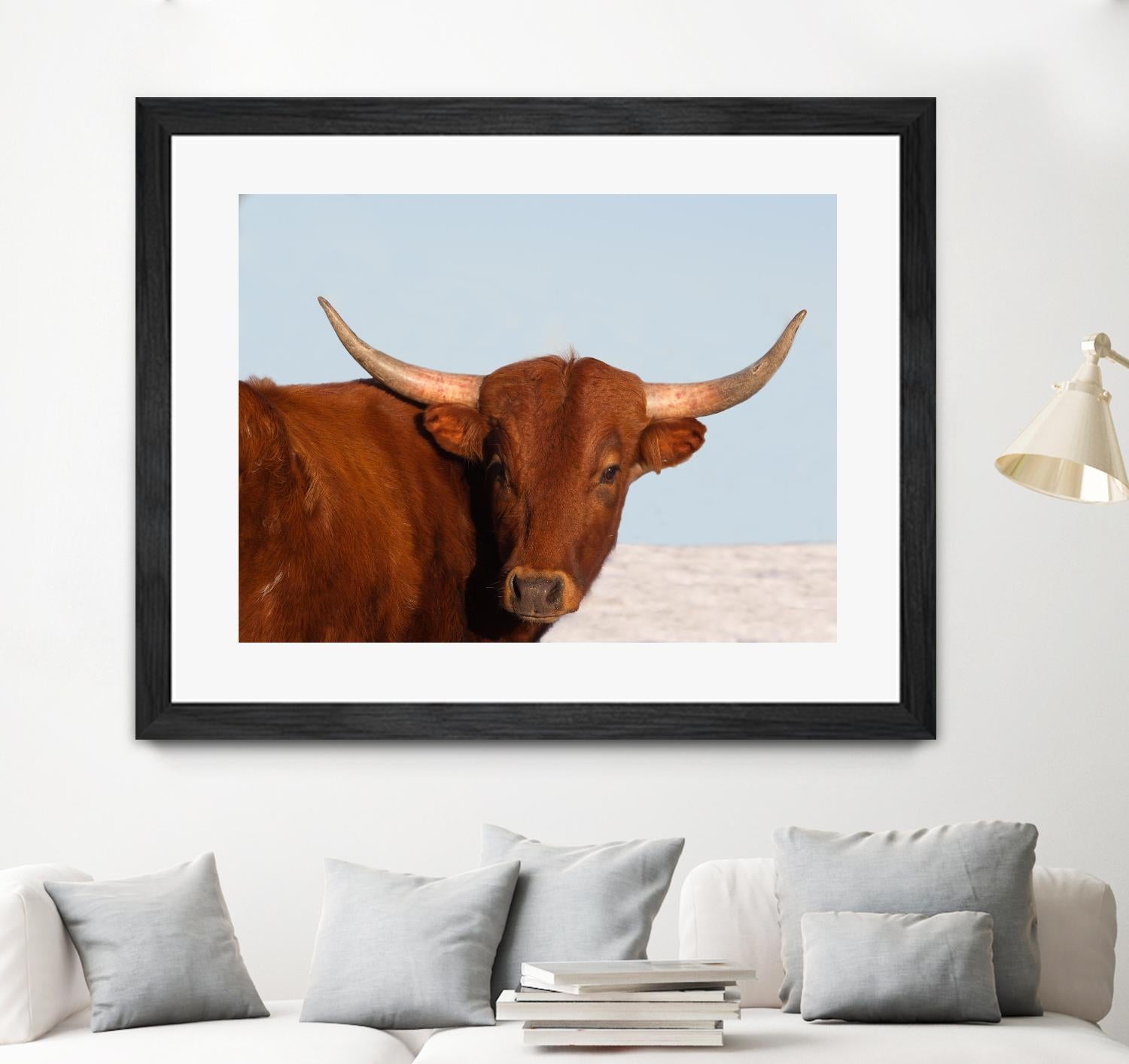 Steer by Carol Walker on GIANT ART - photography farm
