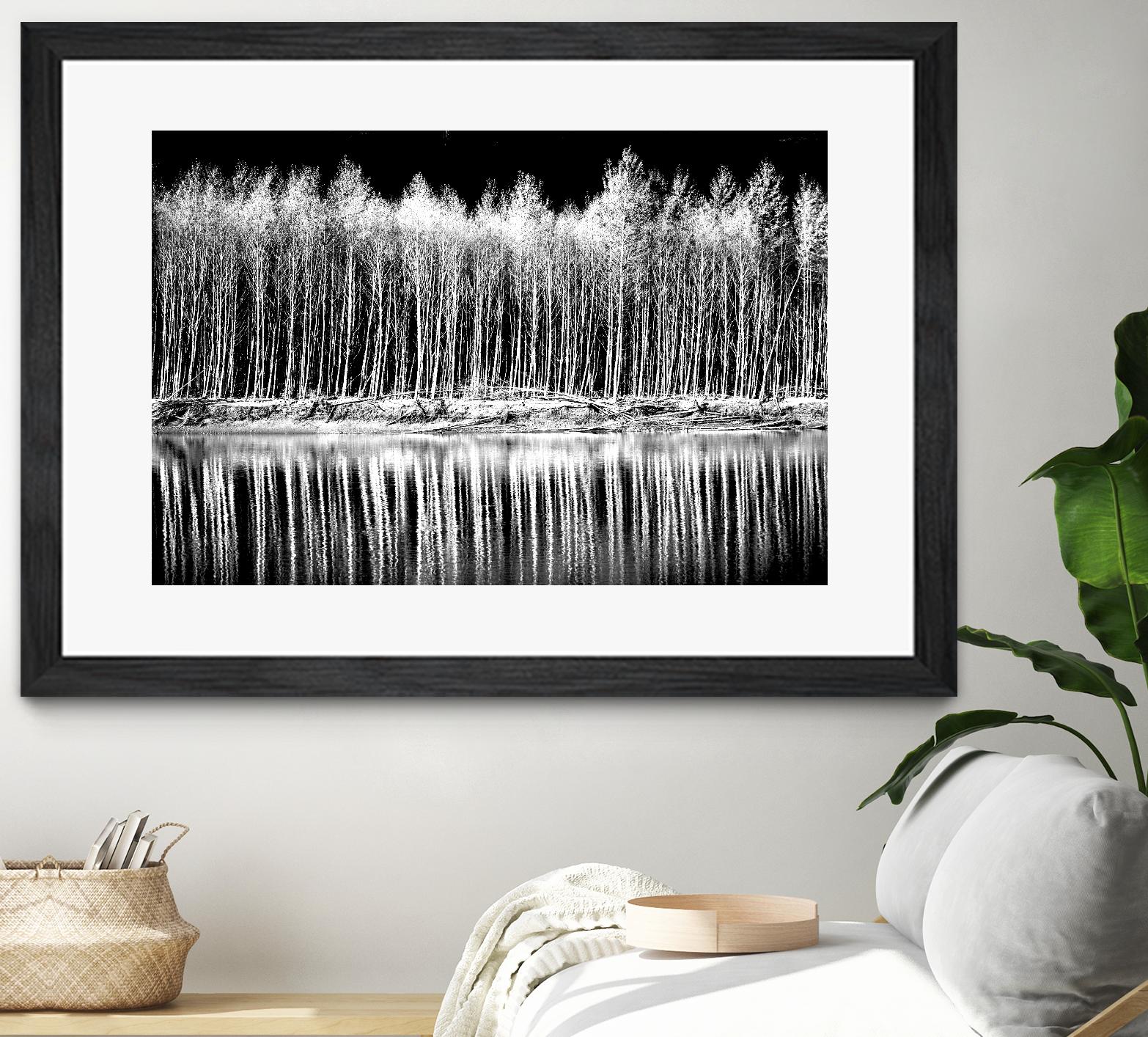 Photograph 1 by Aaron Matheson on GIANT ART - white landscape