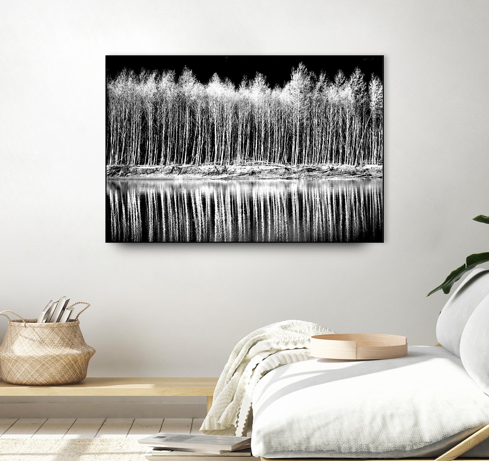 Photograph 1 by Aaron Matheson on GIANT ART - white landscape