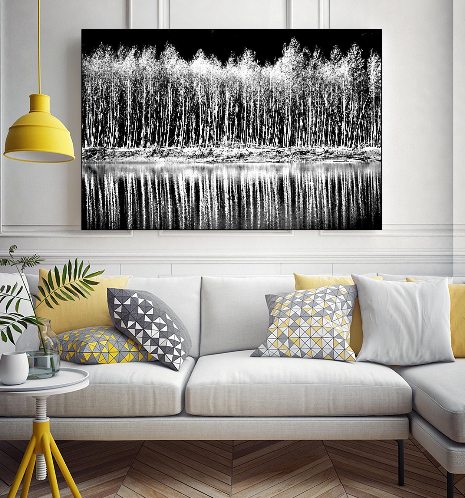 Photograph 1 by Aaron Matheson on GIANT ART - white landscape