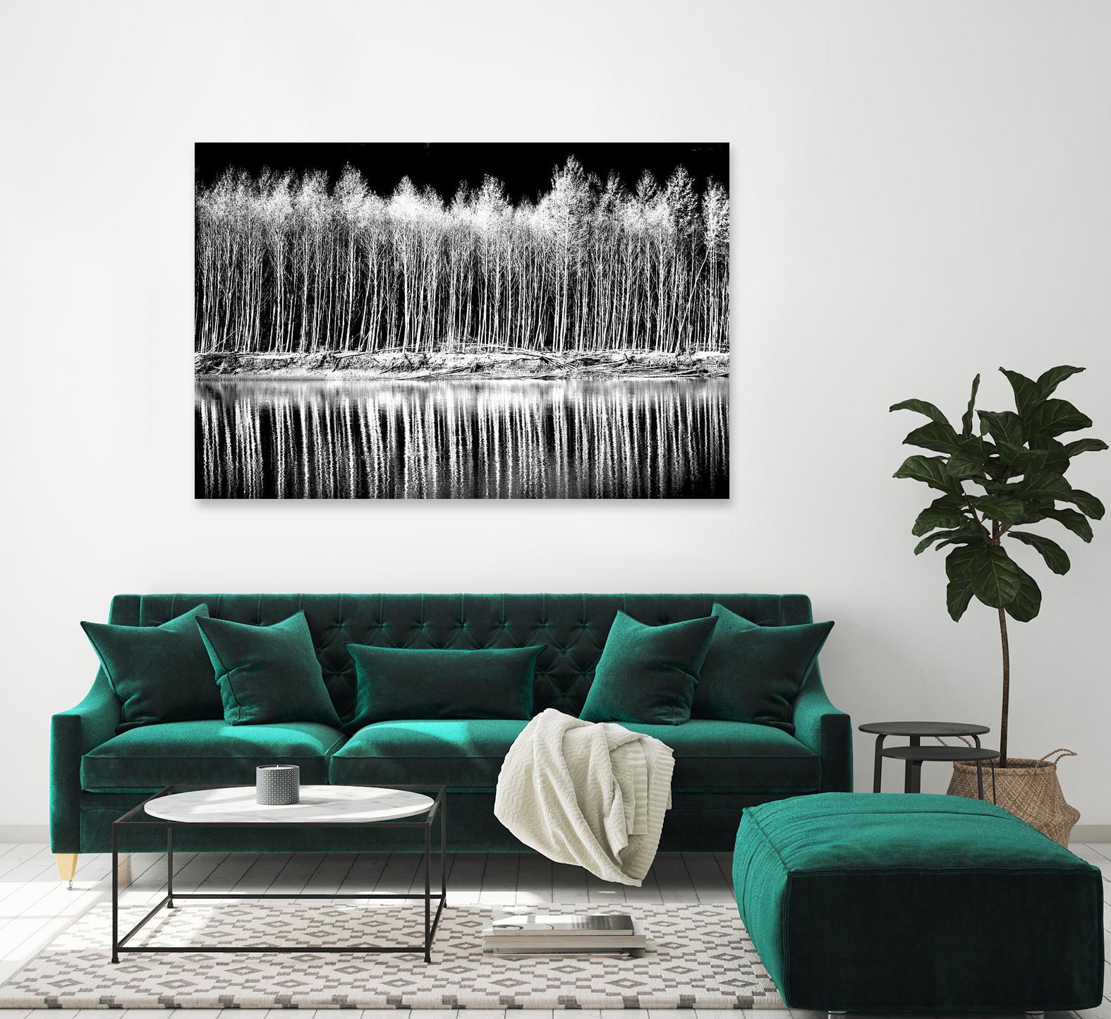 Photograph 1 by Aaron Matheson on GIANT ART - white landscape