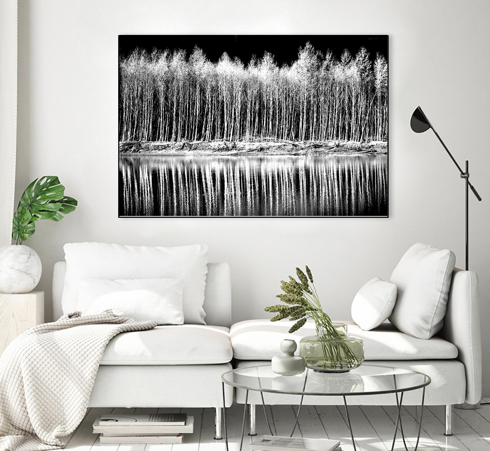 Photograph 1 by Aaron Matheson on GIANT ART - white landscape