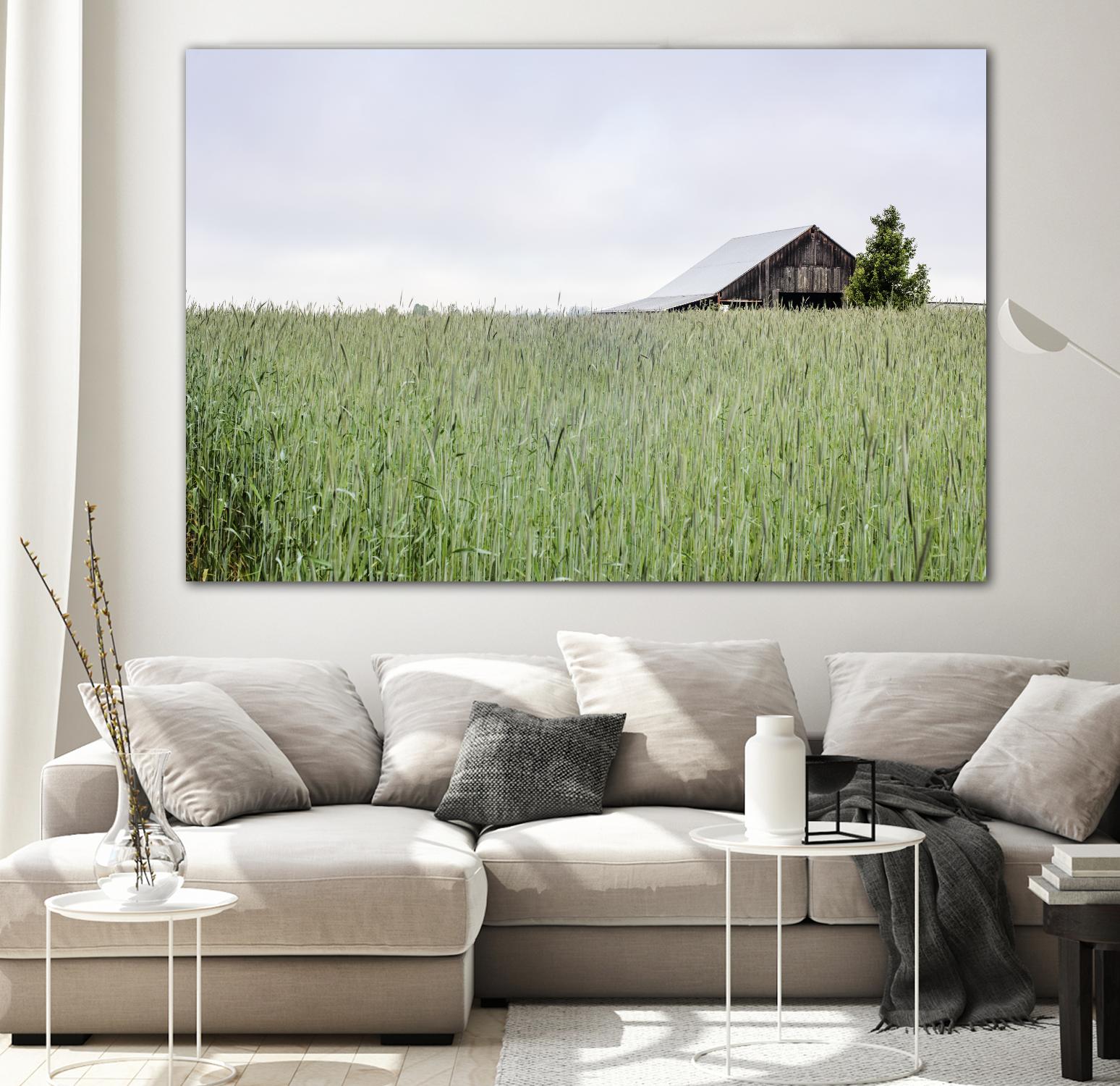 Summer Feel by Nancy Crowell on GIANT ART - grey photo art