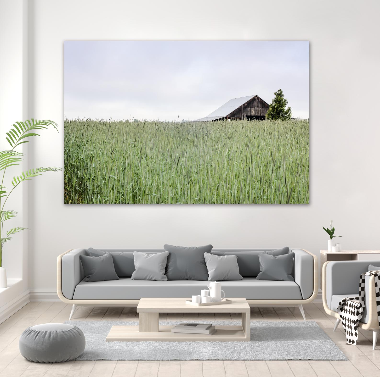 Summer Feel by Nancy Crowell on GIANT ART - grey photo art