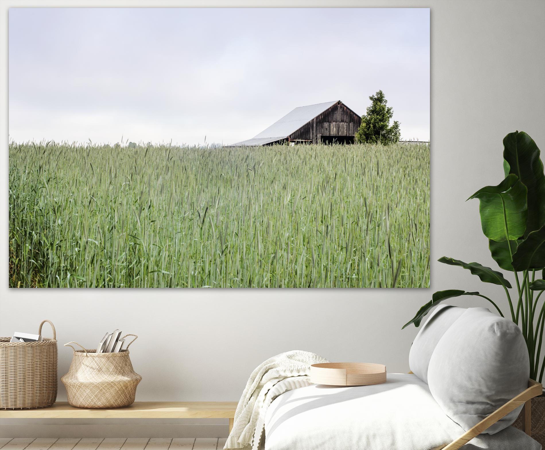 Summer Feel by Nancy Crowell on GIANT ART - grey photo art