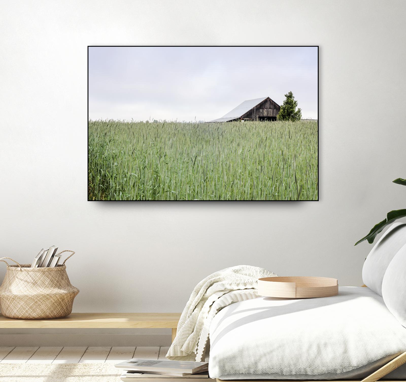 Summer Feel by Nancy Crowell on GIANT ART - grey photo art