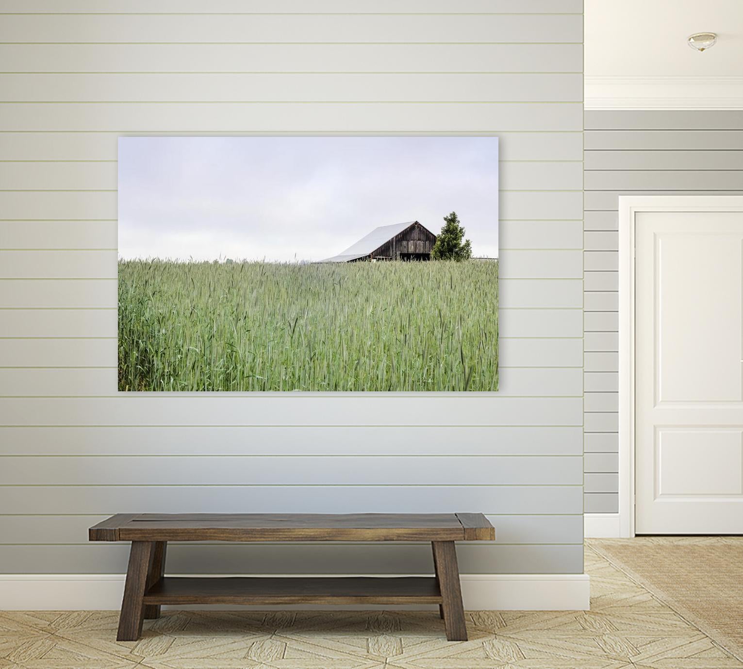 Summer Feel by Nancy Crowell on GIANT ART - grey photo art