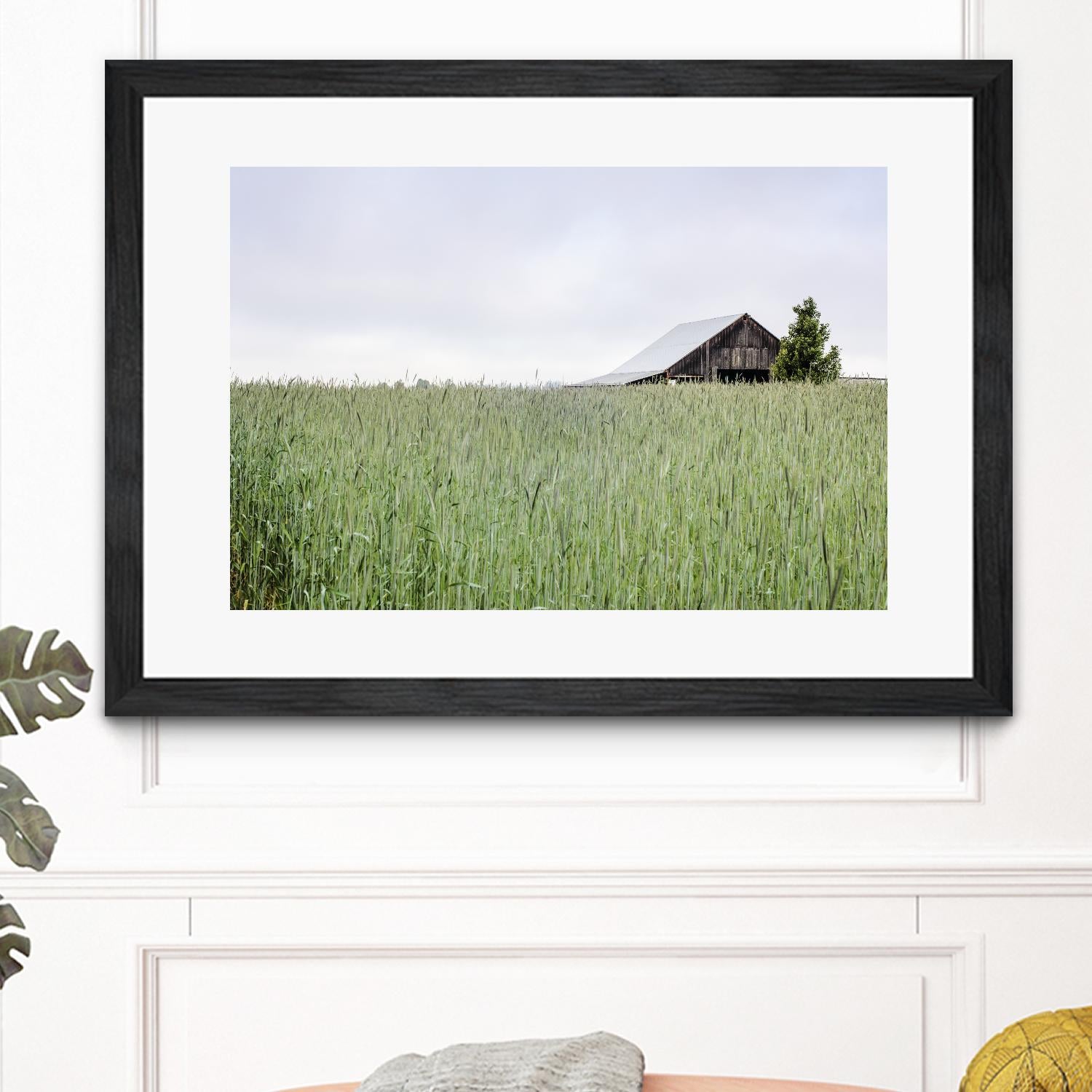 Summer Feel by Nancy Crowell on GIANT ART - grey photo art