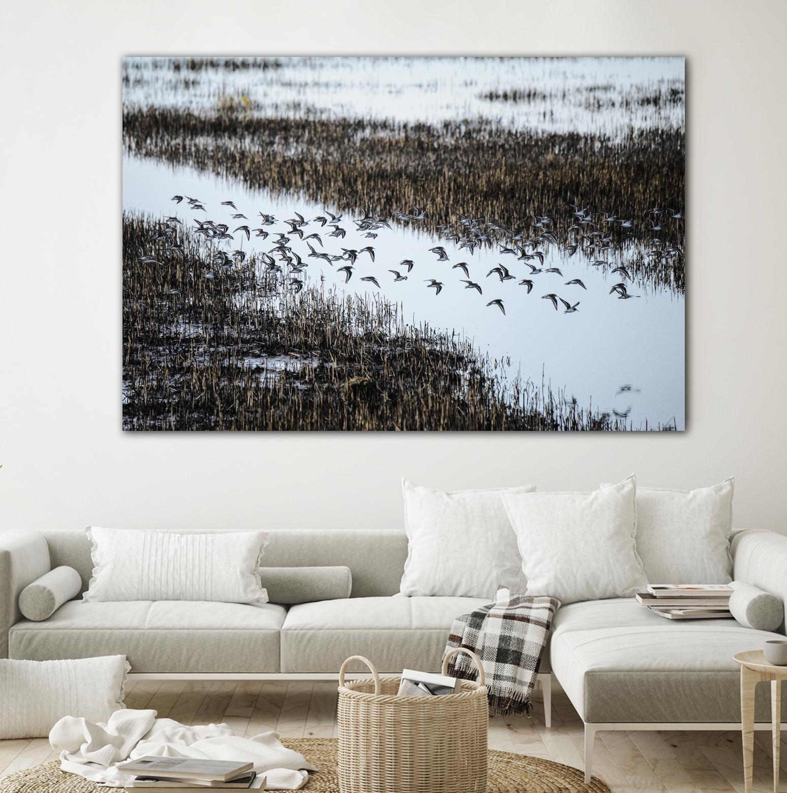 Flock by Nancy Crowell on GIANT ART - blue landscape