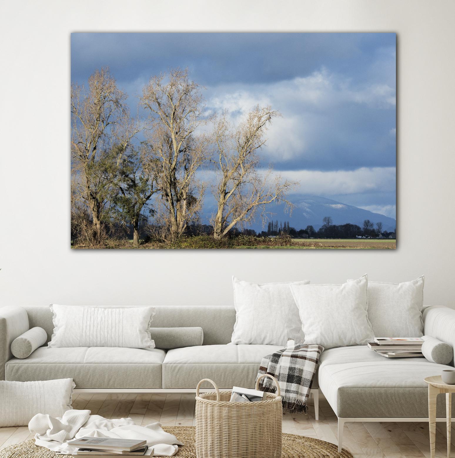 Almost Spring by Nancy Crowell on GIANT ART - beige landscape