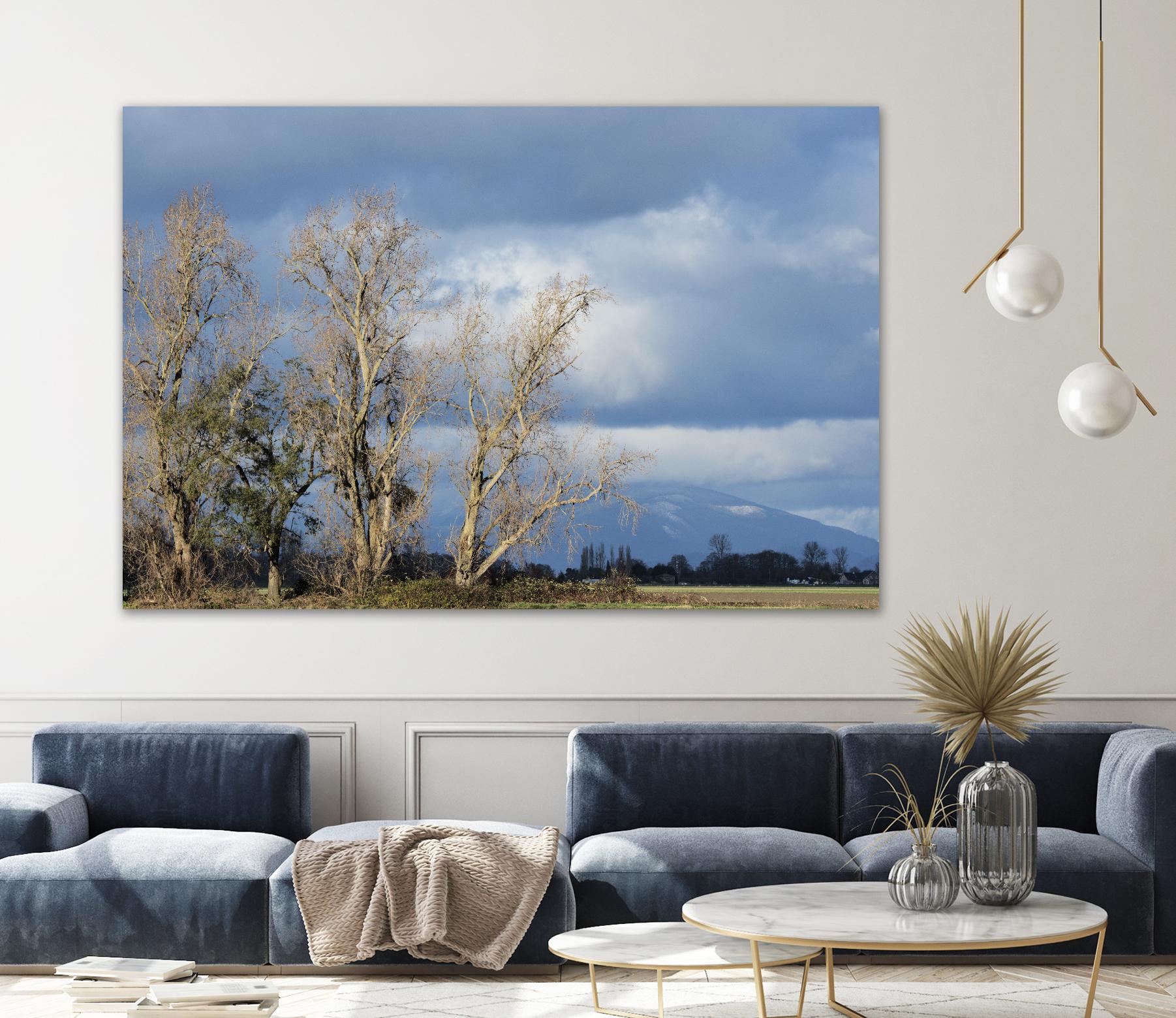 Almost Spring by Nancy Crowell on GIANT ART - beige landscape