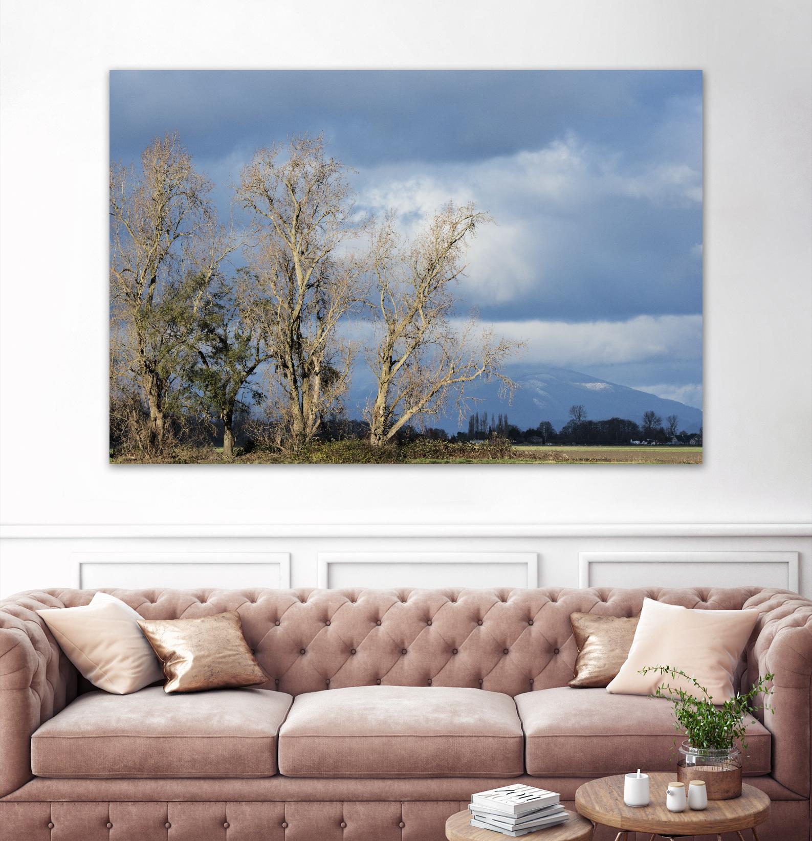 Almost Spring by Nancy Crowell on GIANT ART - beige landscape