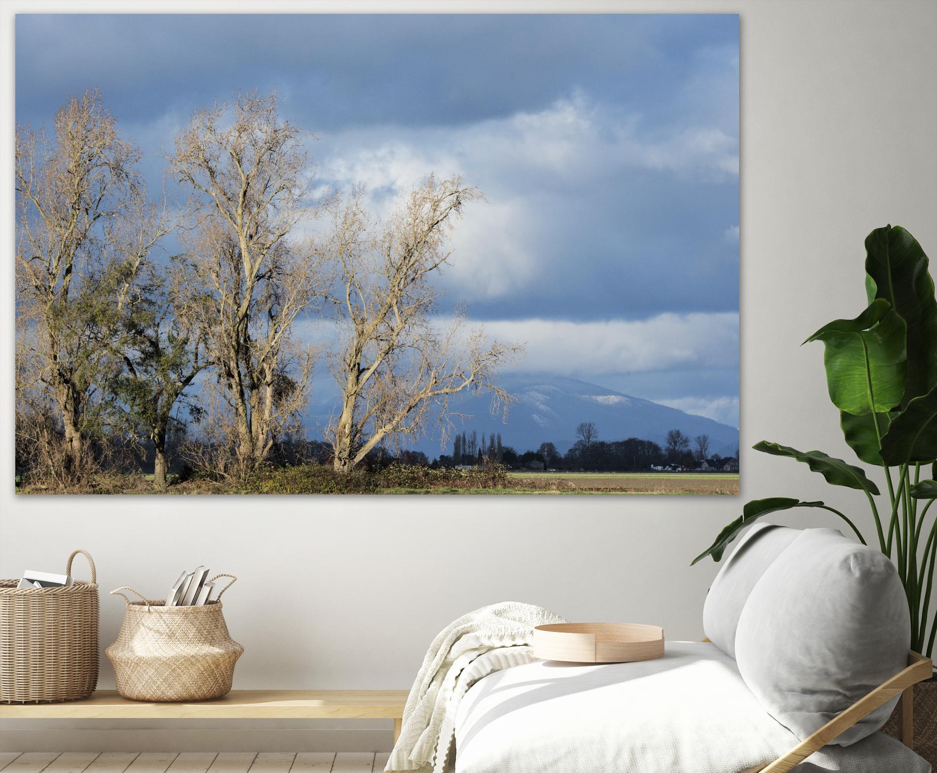 Almost Spring by Nancy Crowell on GIANT ART - beige landscape