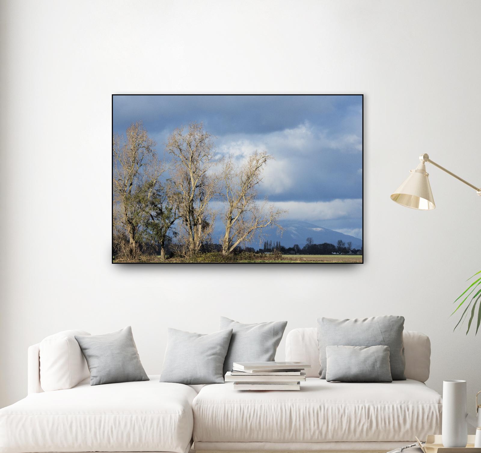 Almost Spring by Nancy Crowell on GIANT ART - beige landscape