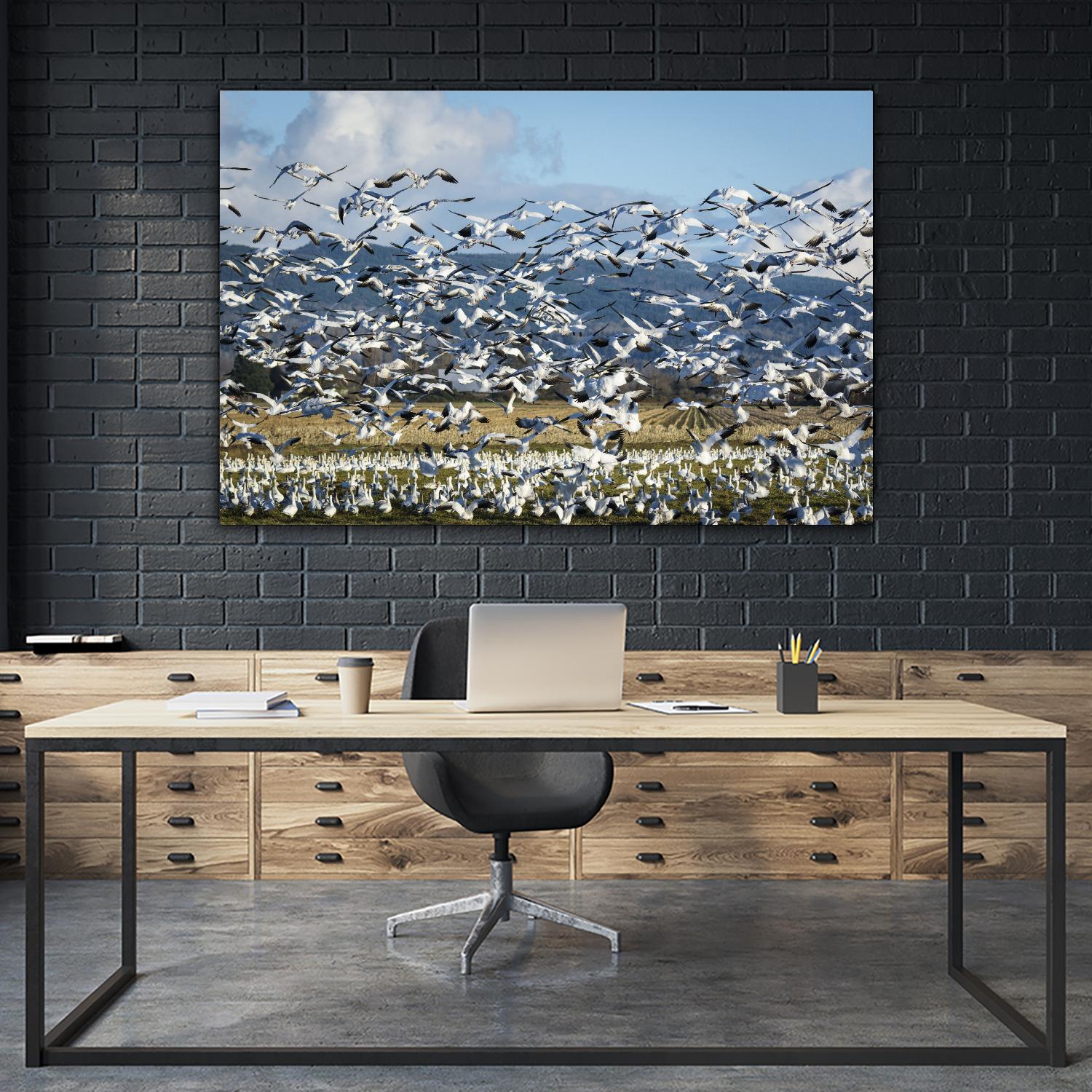 Takeoff by Nancy Crowell on GIANT ART - beige landscape