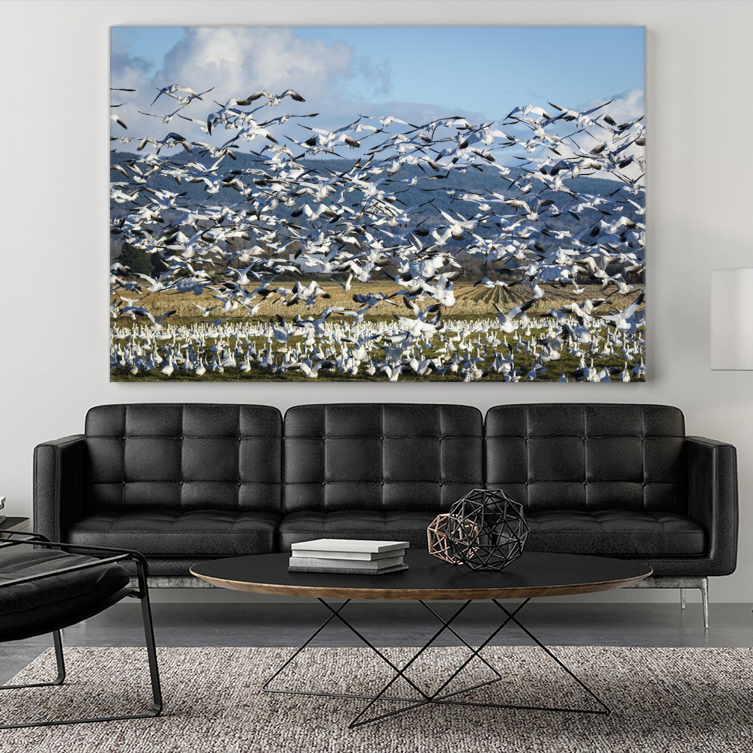 Takeoff by Nancy Crowell on GIANT ART - beige landscape