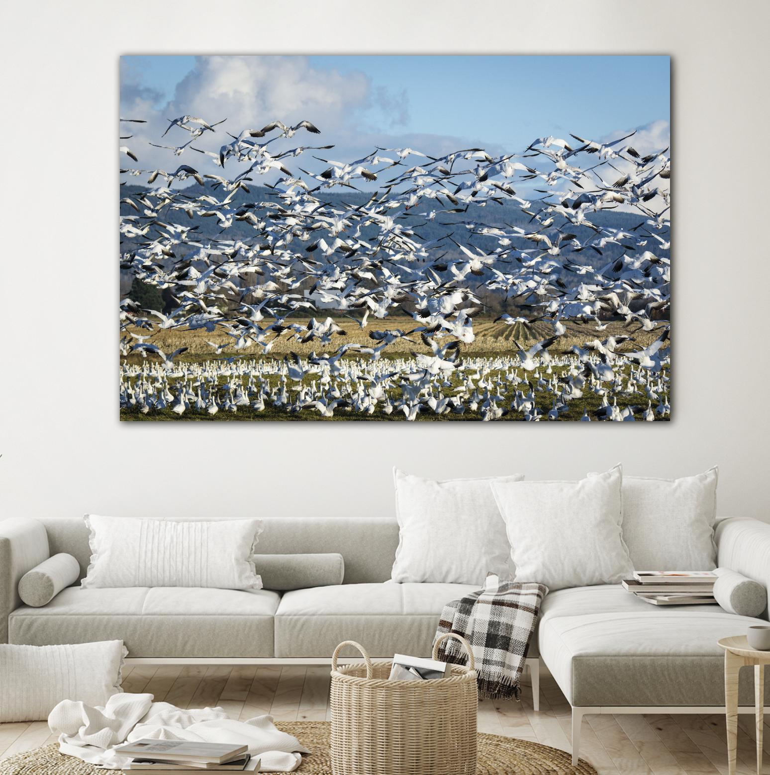 Takeoff by Nancy Crowell on GIANT ART - beige landscape