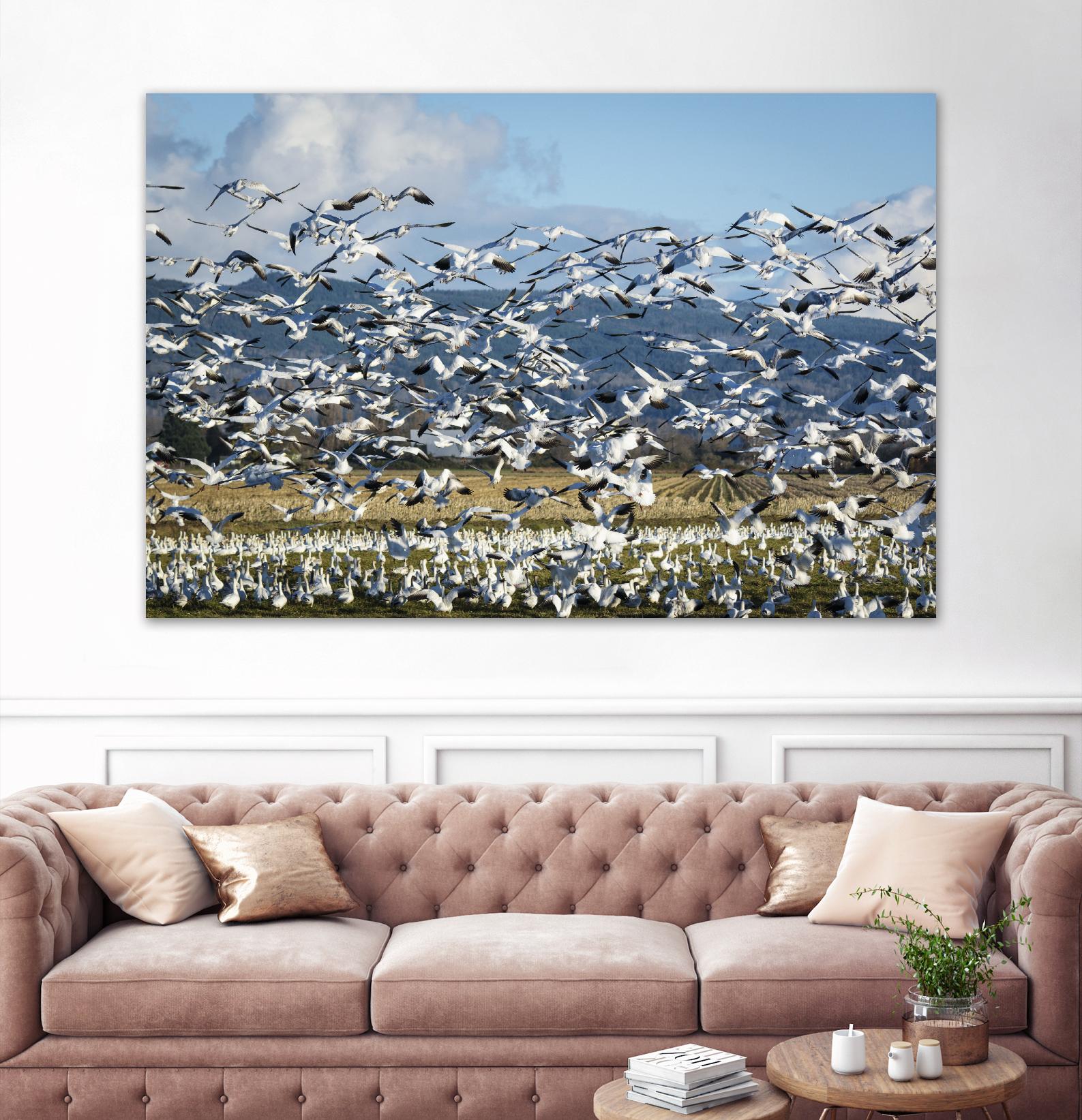 Takeoff by Nancy Crowell on GIANT ART - beige landscape