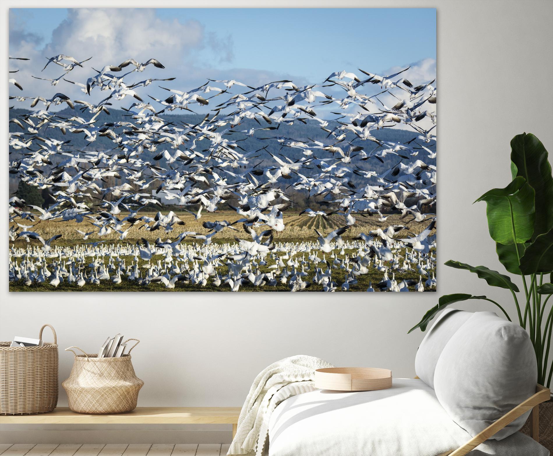 Takeoff by Nancy Crowell on GIANT ART - beige landscape