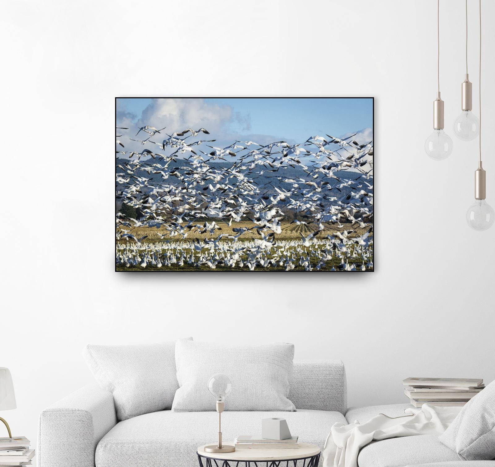 Takeoff by Nancy Crowell on GIANT ART - beige landscape