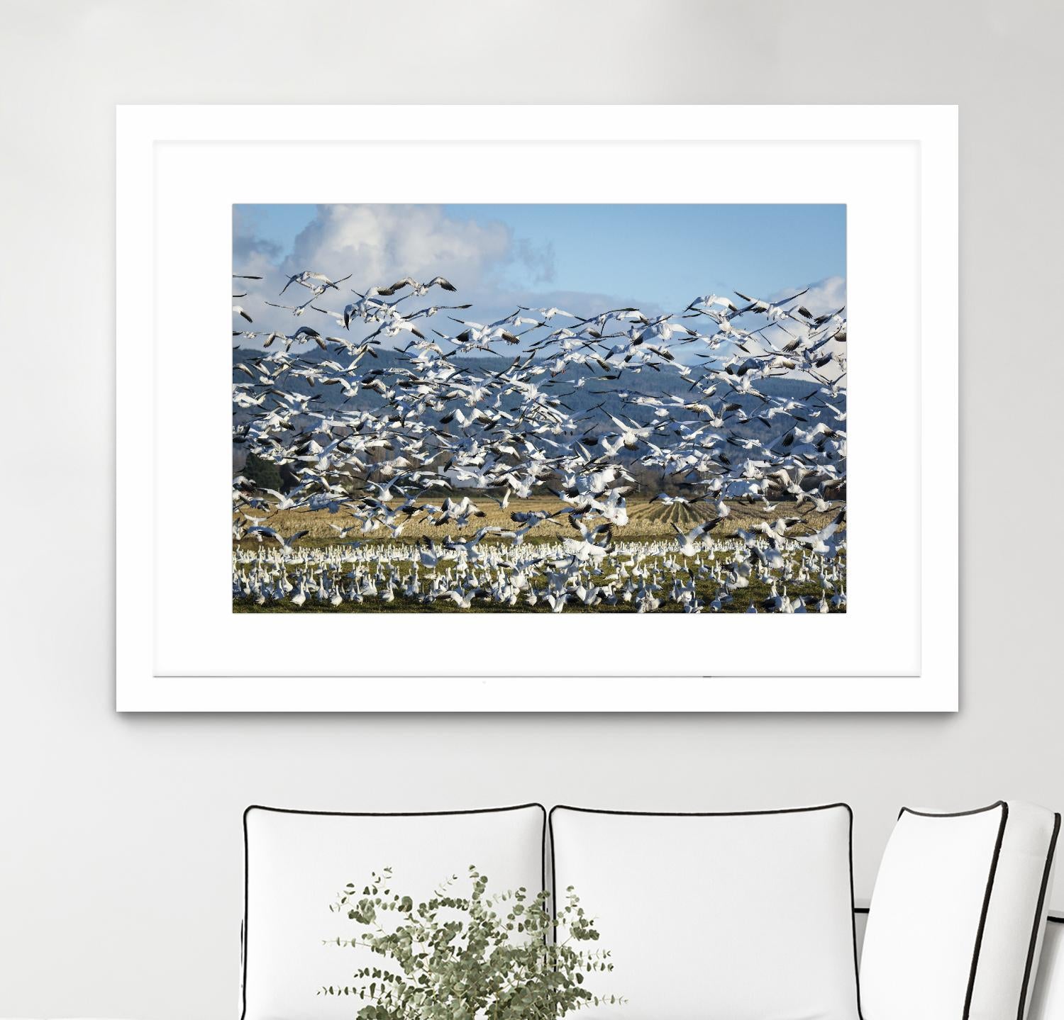 Takeoff by Nancy Crowell on GIANT ART - beige landscape