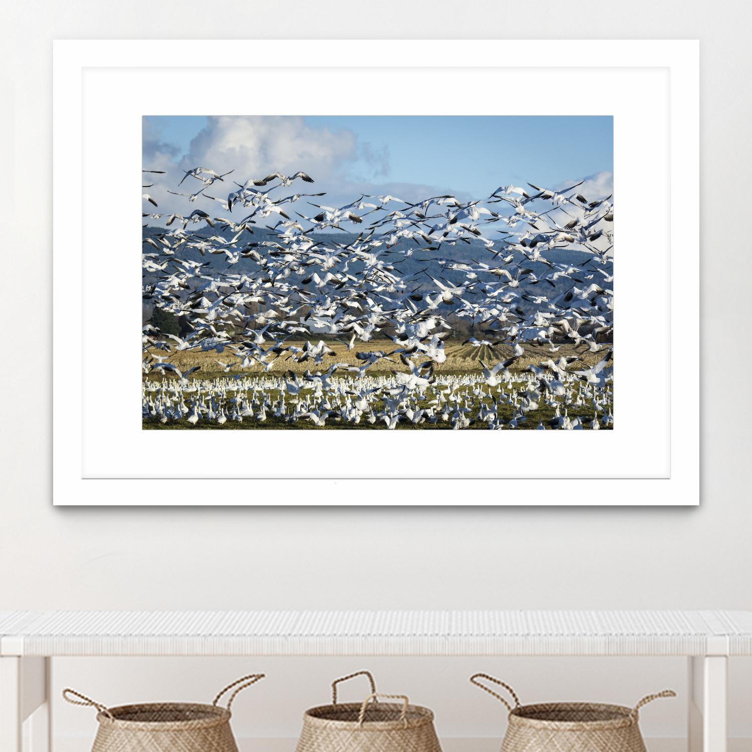 Takeoff by Nancy Crowell on GIANT ART - beige landscape