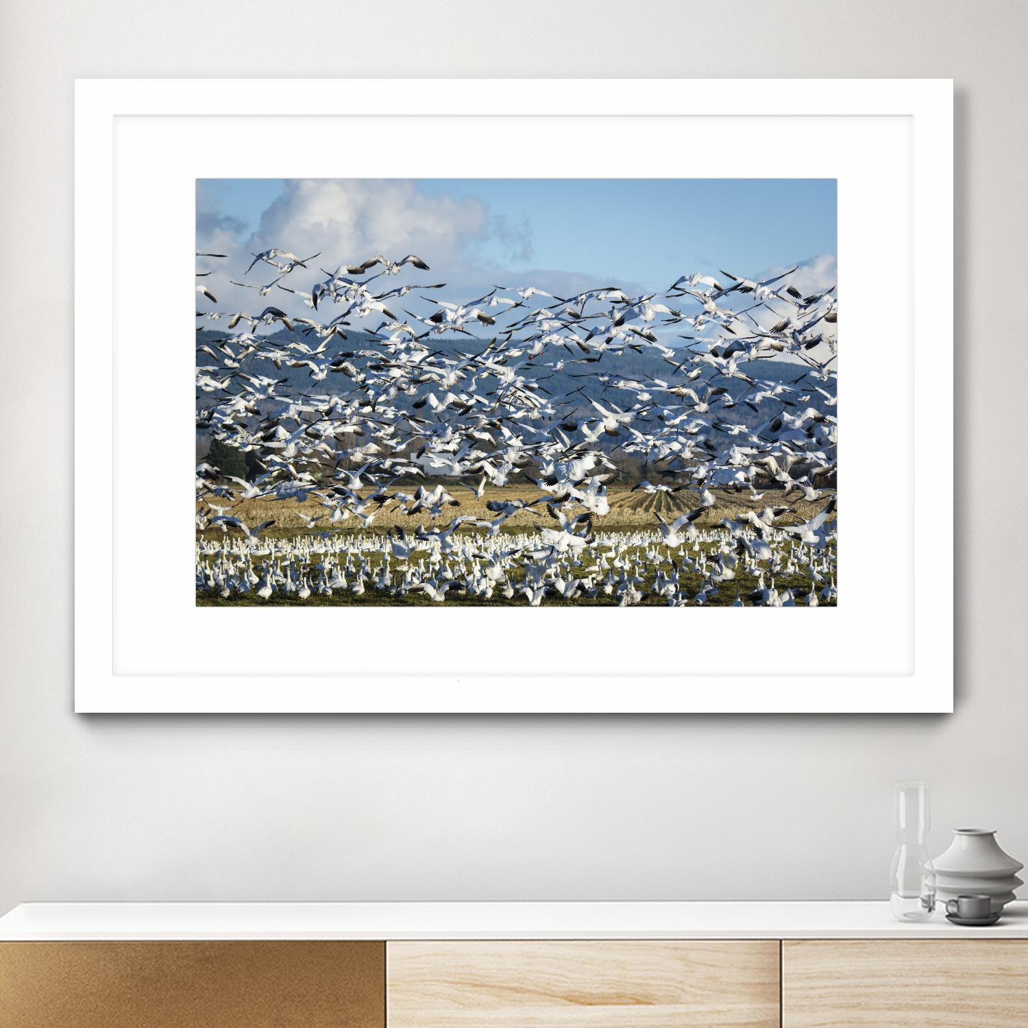 Takeoff by Nancy Crowell on GIANT ART - beige landscape