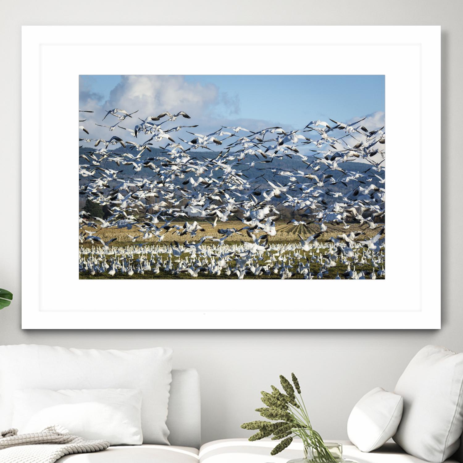 Takeoff by Nancy Crowell on GIANT ART - beige landscape