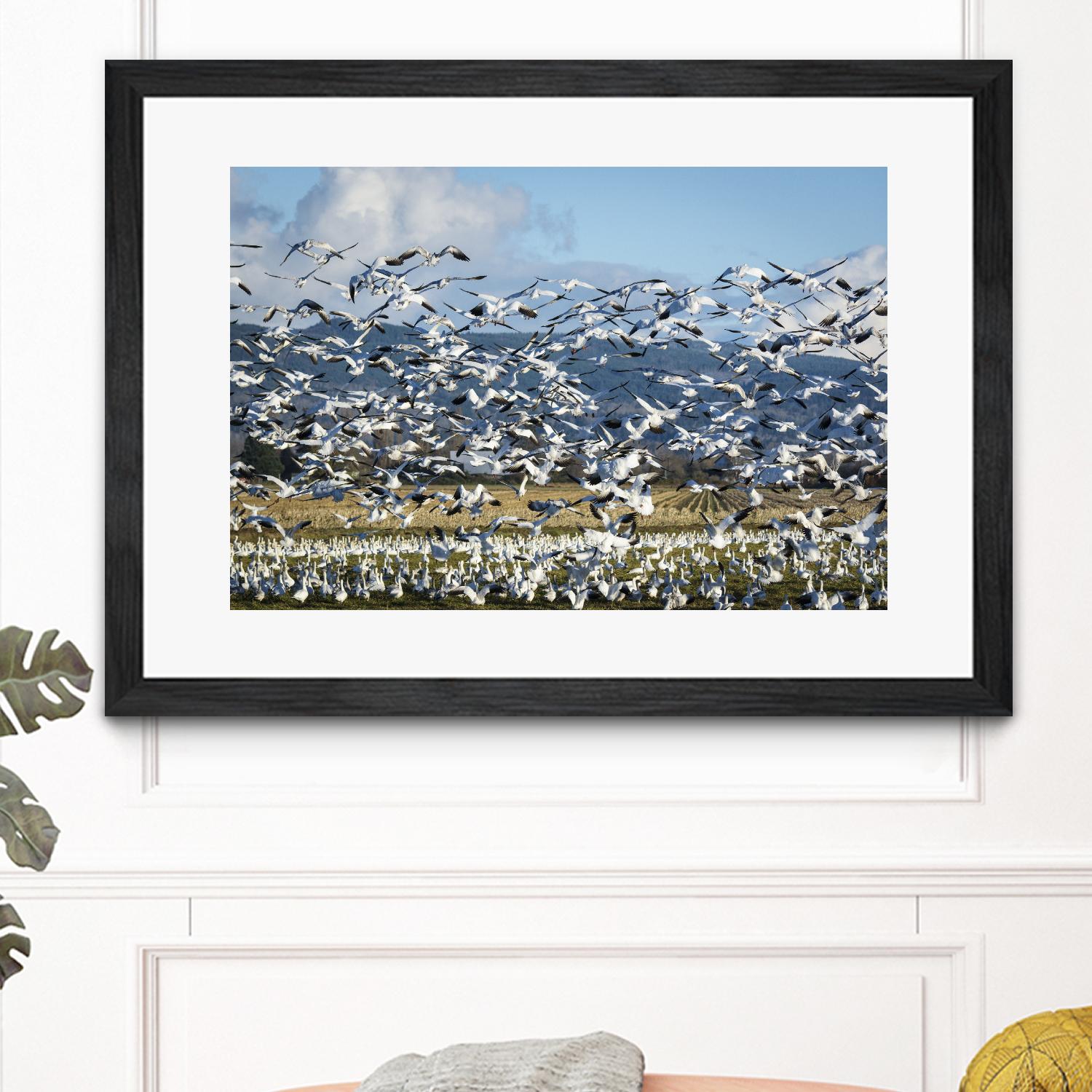 Takeoff by Nancy Crowell on GIANT ART - beige landscape