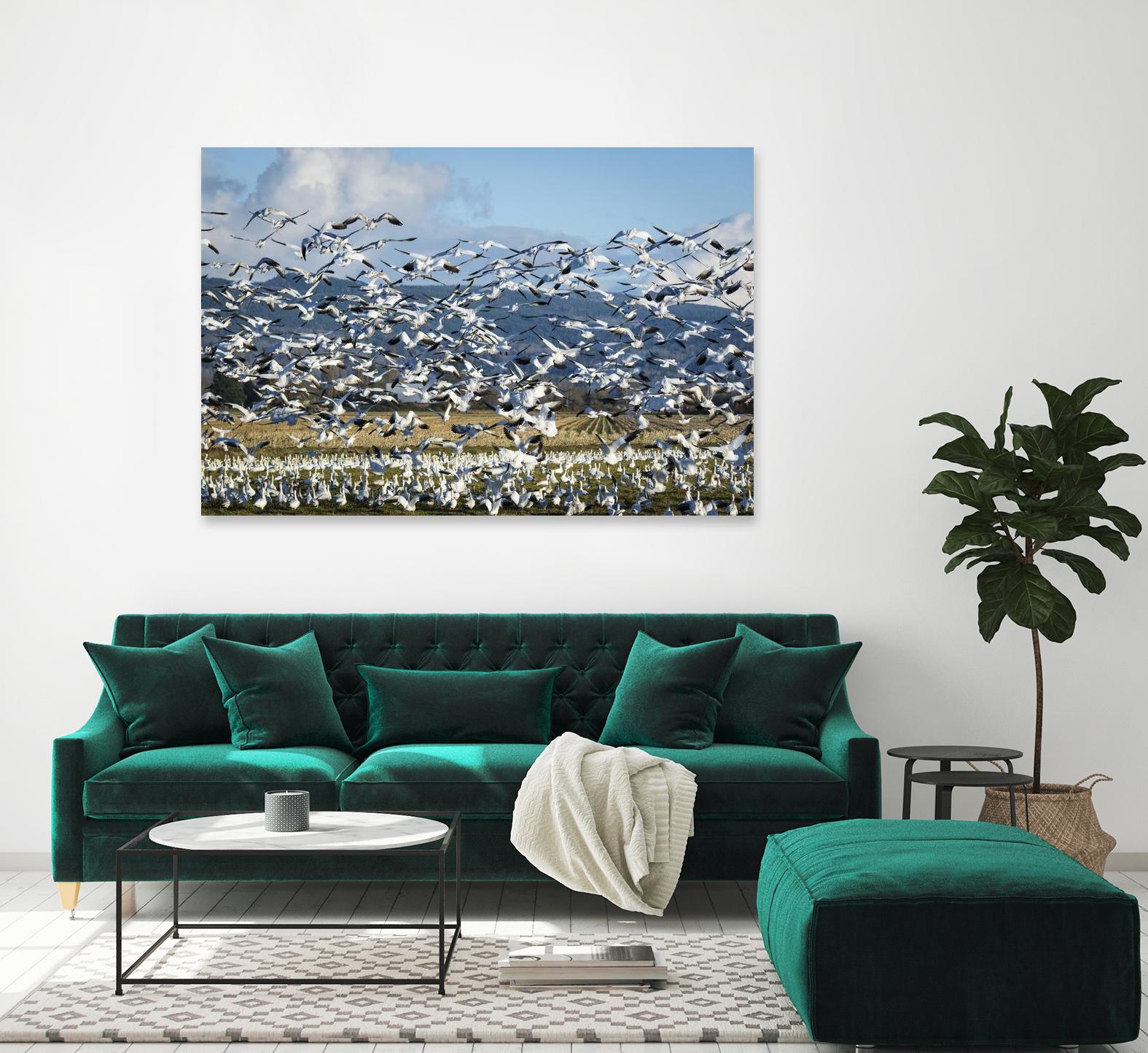 Takeoff by Nancy Crowell on GIANT ART - beige landscape