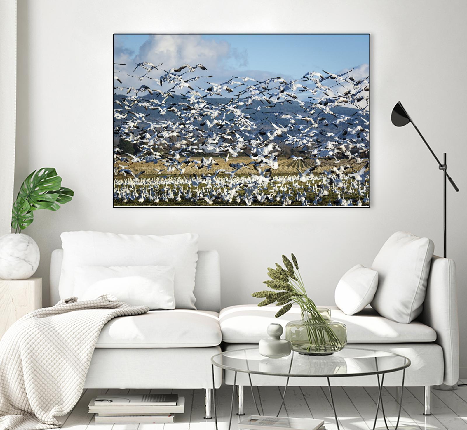 Takeoff by Nancy Crowell on GIANT ART - beige landscape